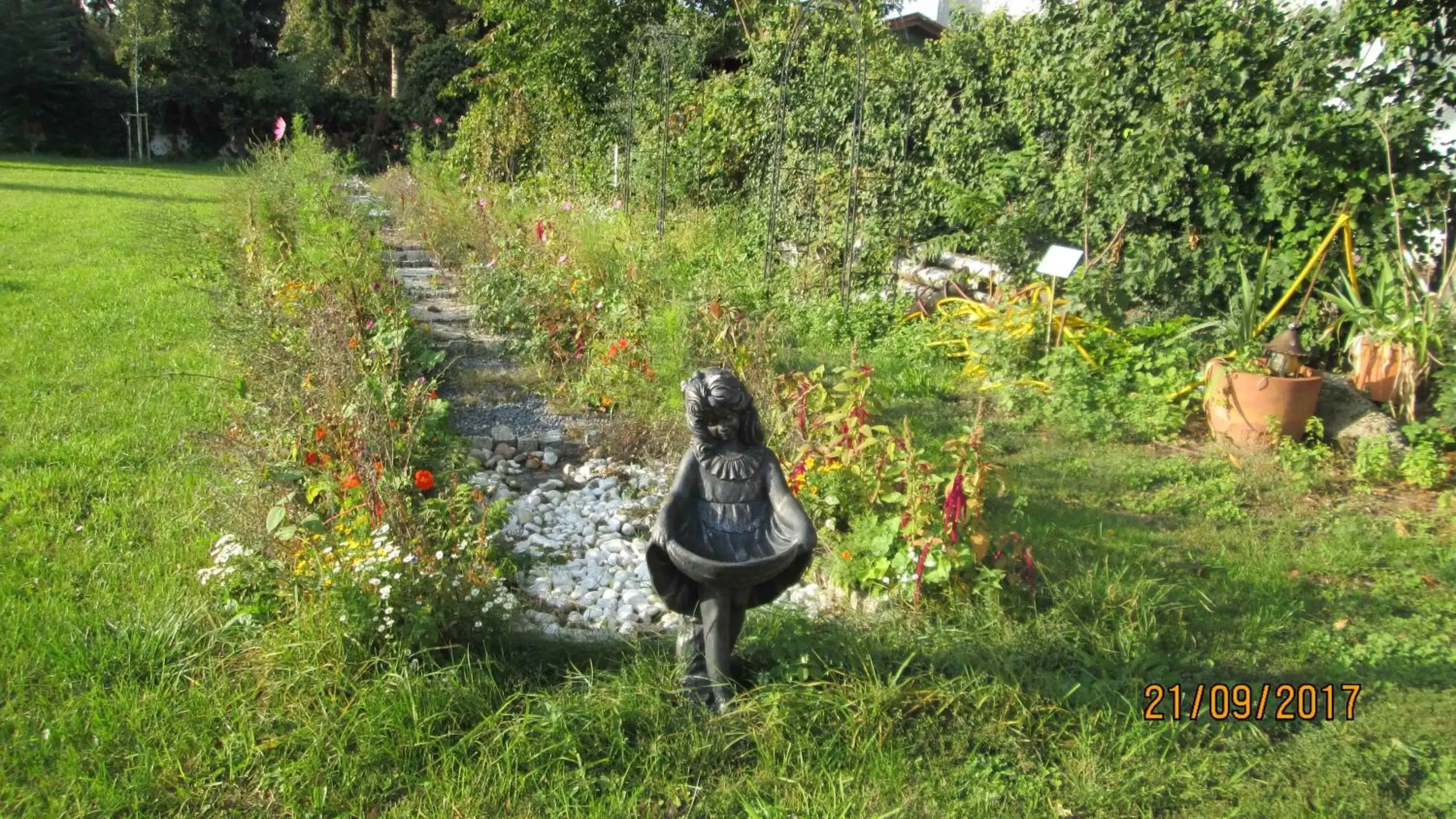 Garden, Other Animals in Hotel Attaché