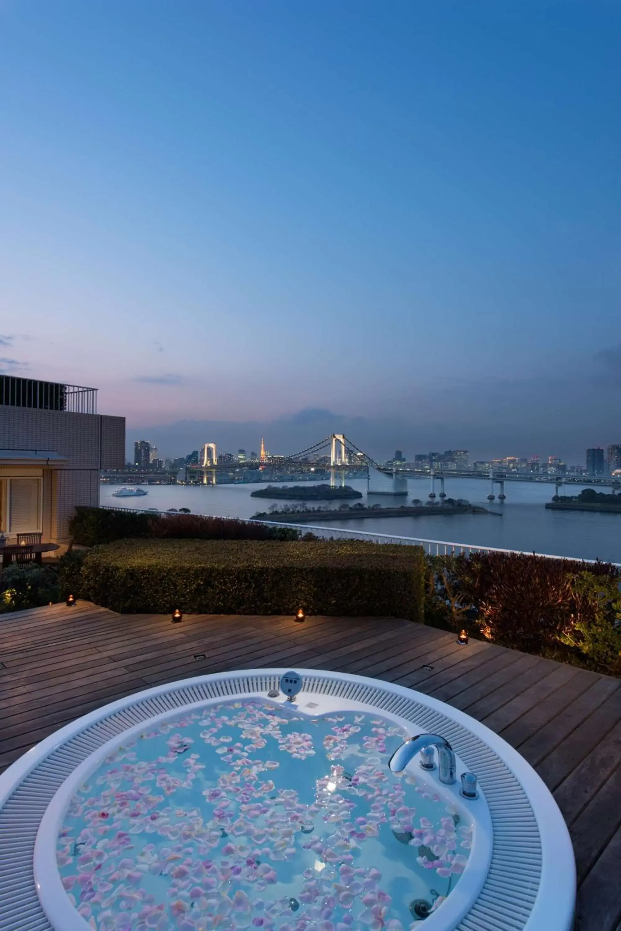 View (from property/room), Swimming Pool in Hilton Tokyo Odaiba