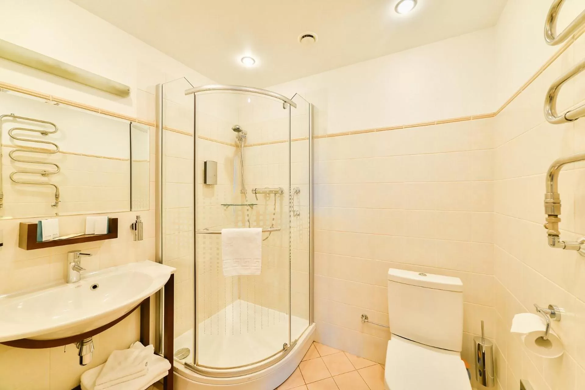 Other, Bathroom in Hotel Vantis Riverside