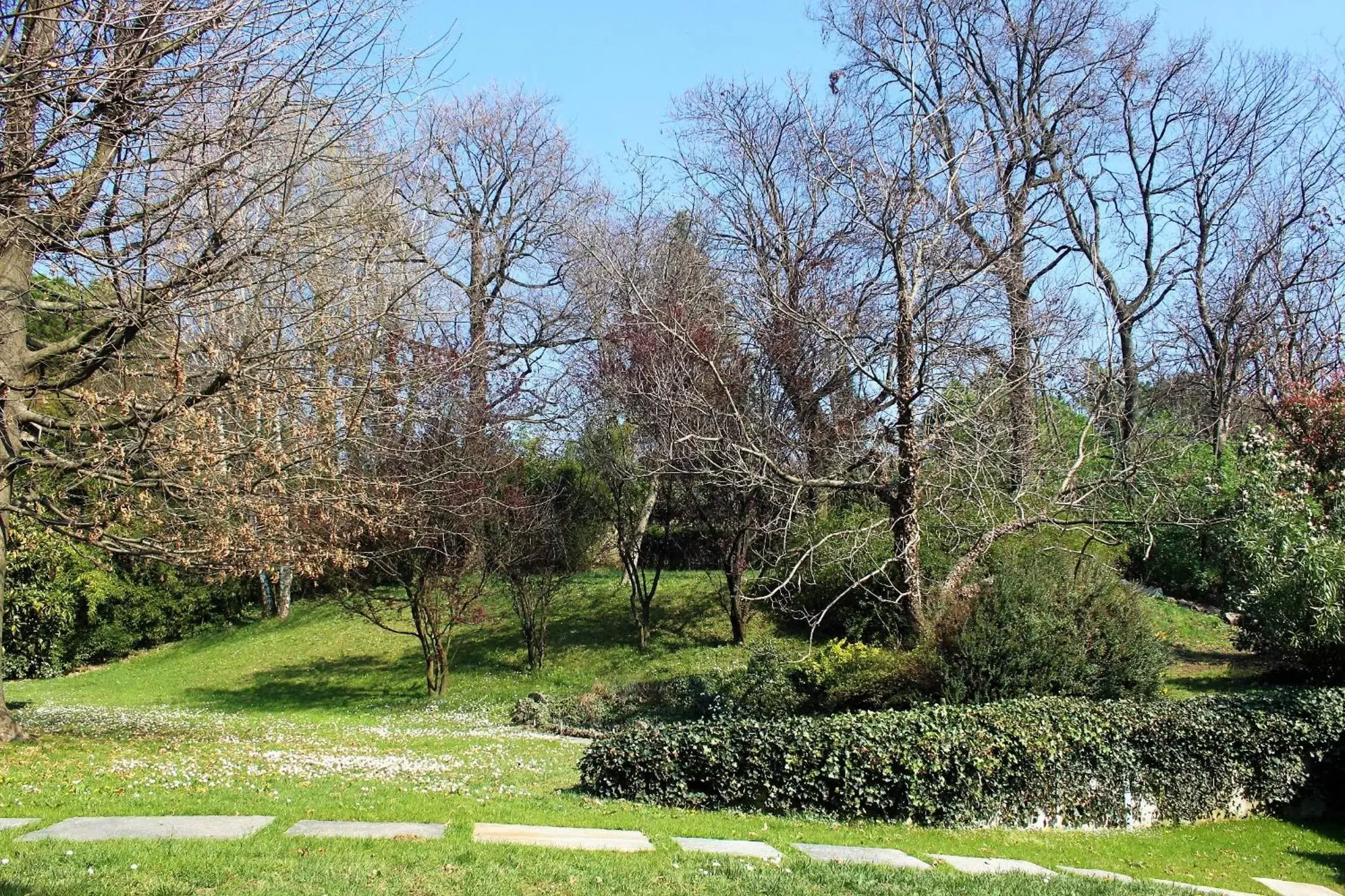 Garden in Villa Onorina
