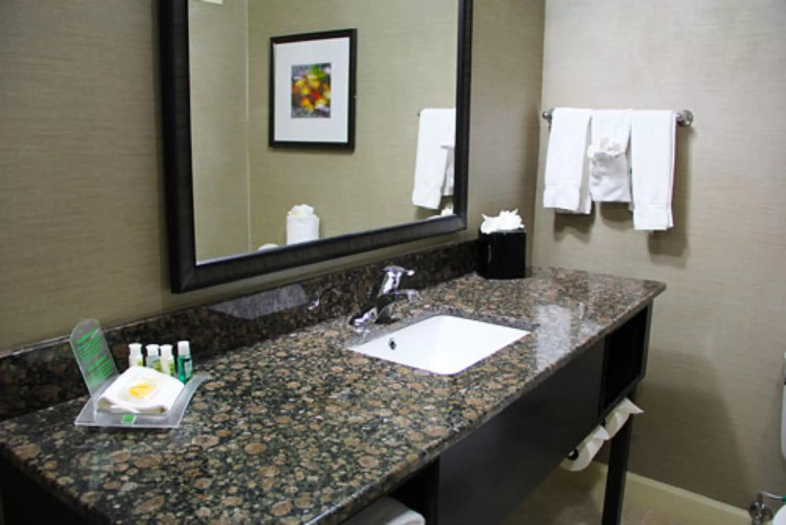 Bathroom in Holiday Inn Charlotte University, an IHG Hotel
