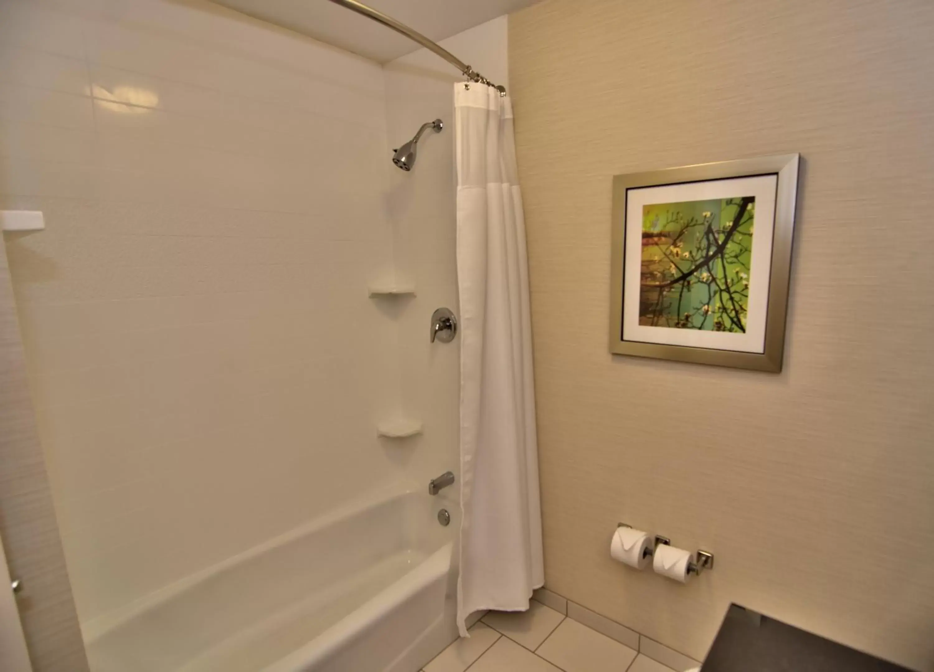 Bathroom in Fairfield Inn & Suites by Marriott Towanda Wysox