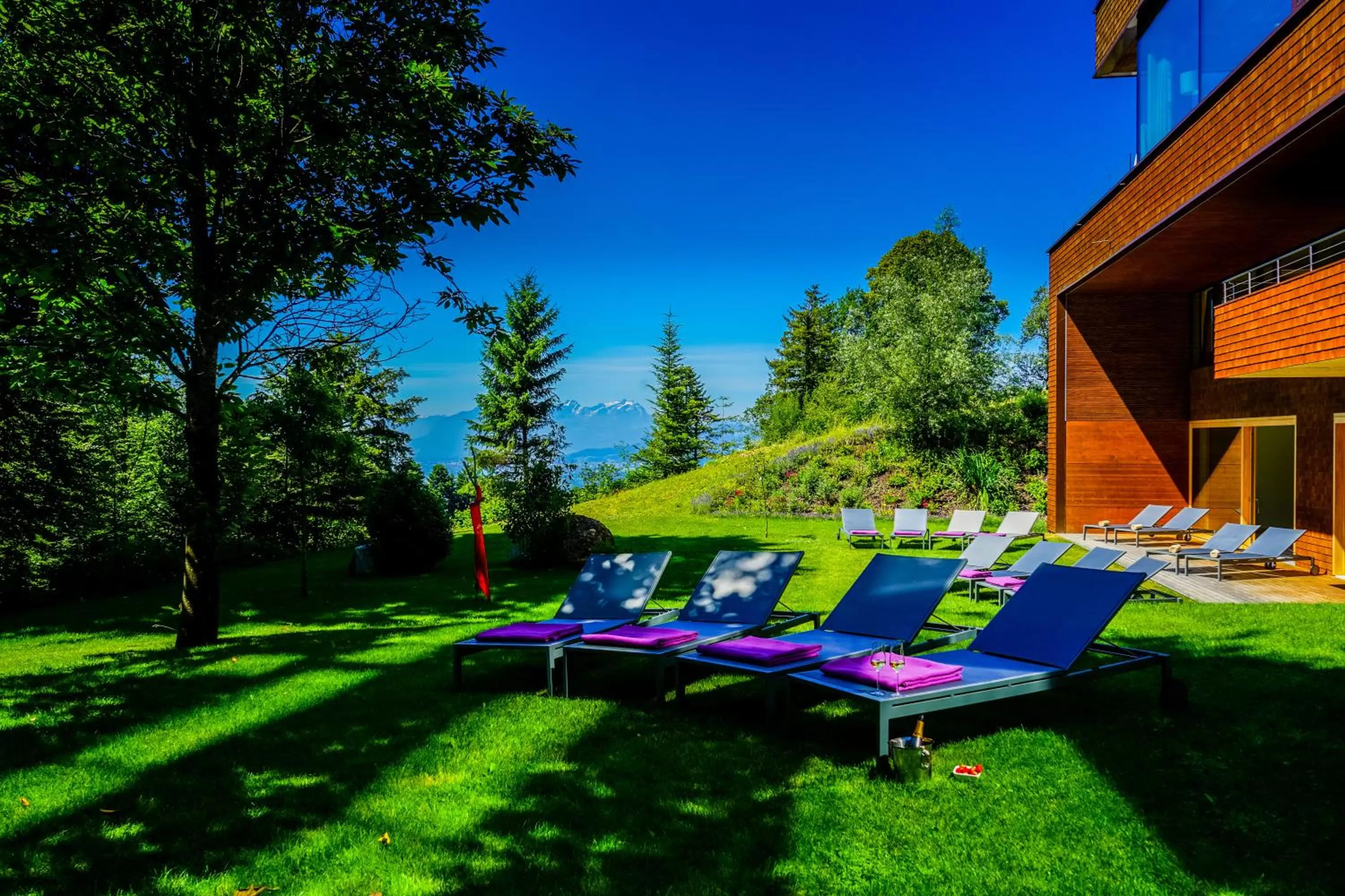 Swimming pool in Fritsch am Berg - Adults only