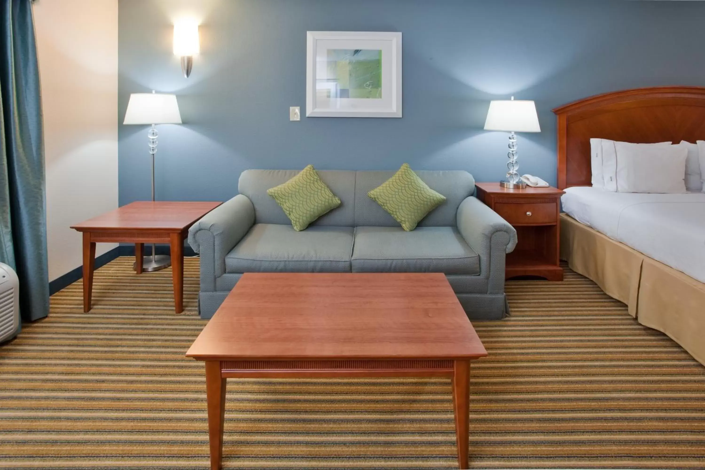 Bed, Seating Area in Holiday Inn Express Hotel & Suites Fredericksburg, an IHG Hotel