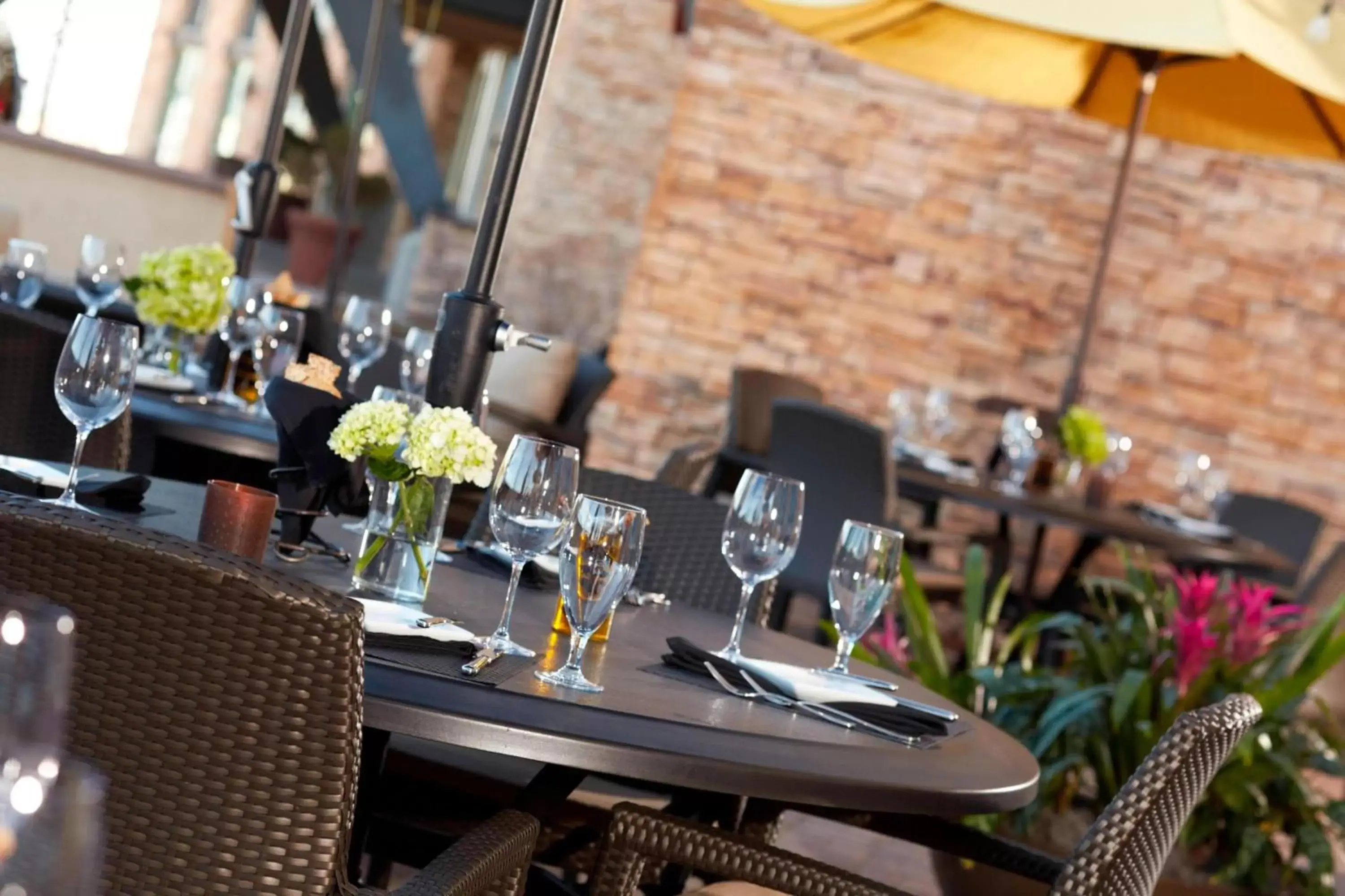 Lounge or bar, Restaurant/Places to Eat in Renaissance Boulder Flatiron Hotel
