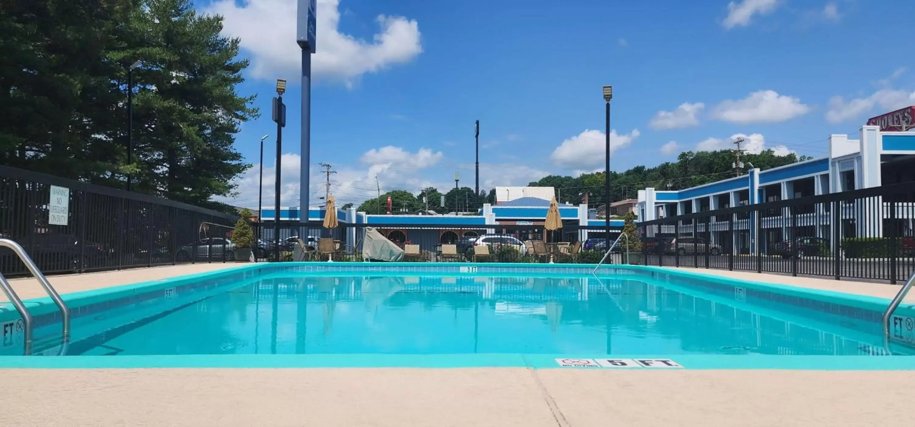Pool view, Swimming Pool in Best Western Thunderbird Motel