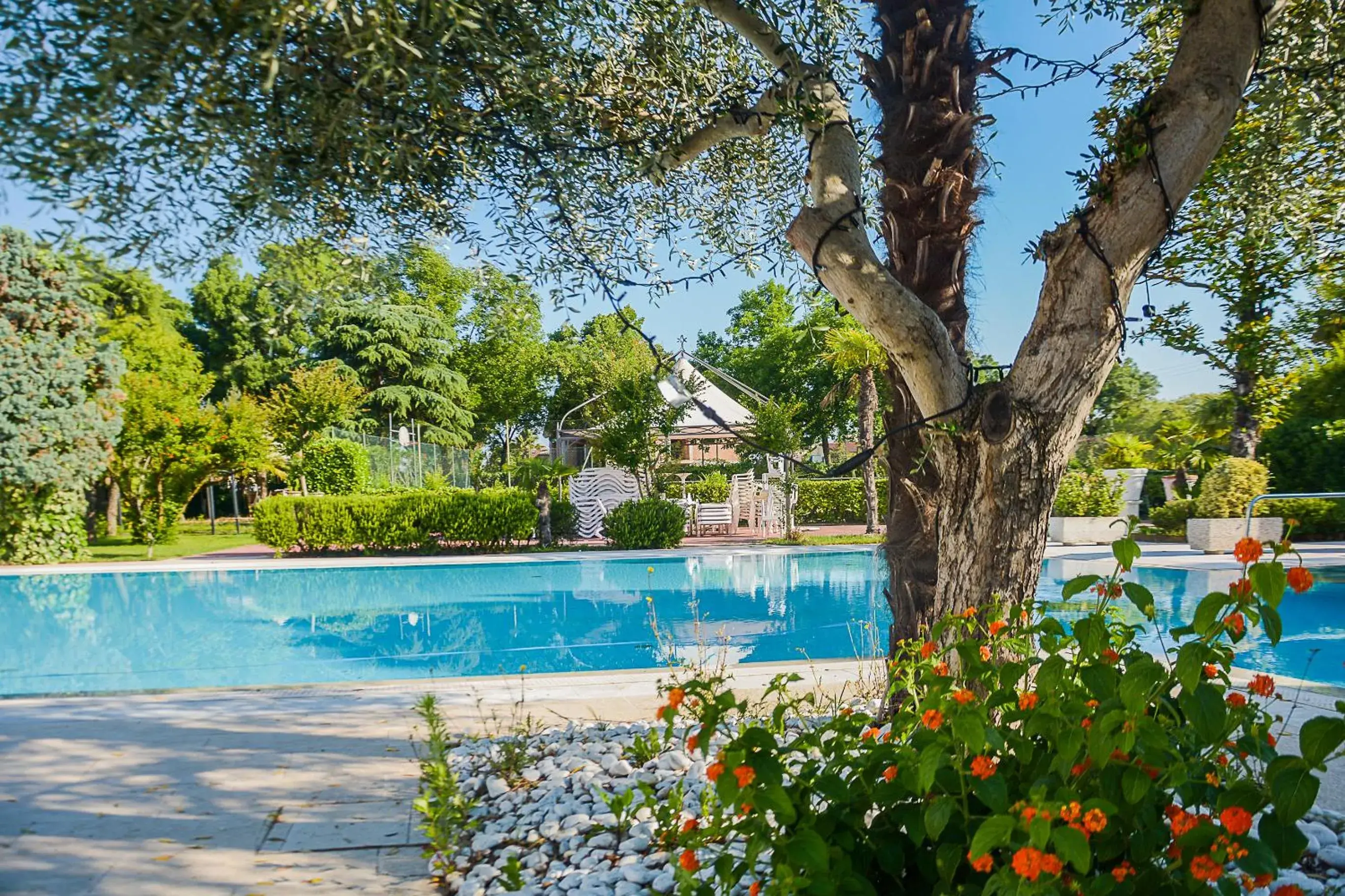 Swimming Pool in Bellavista Terme Resort & Spa