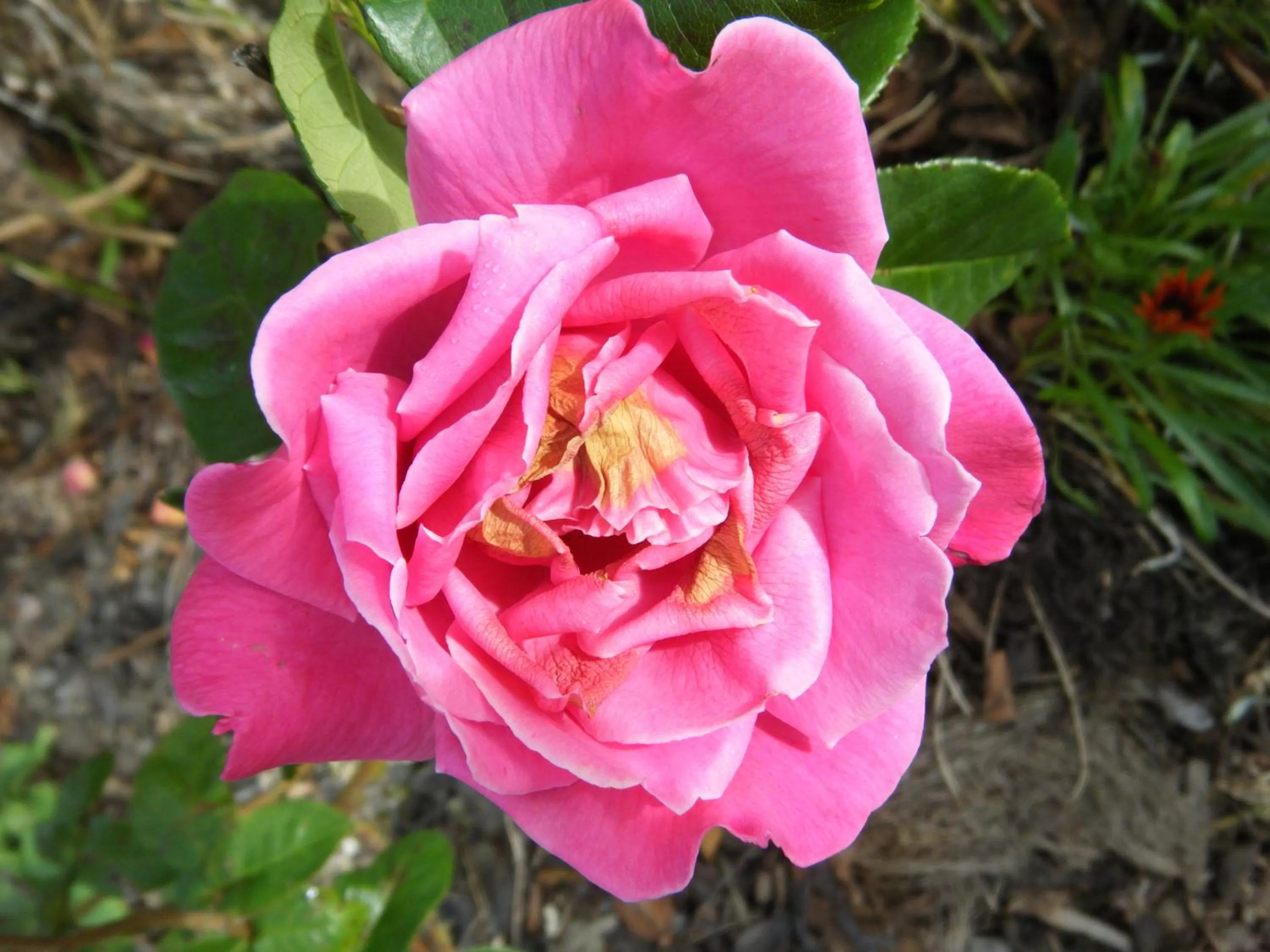 Other in Collingwood Manor