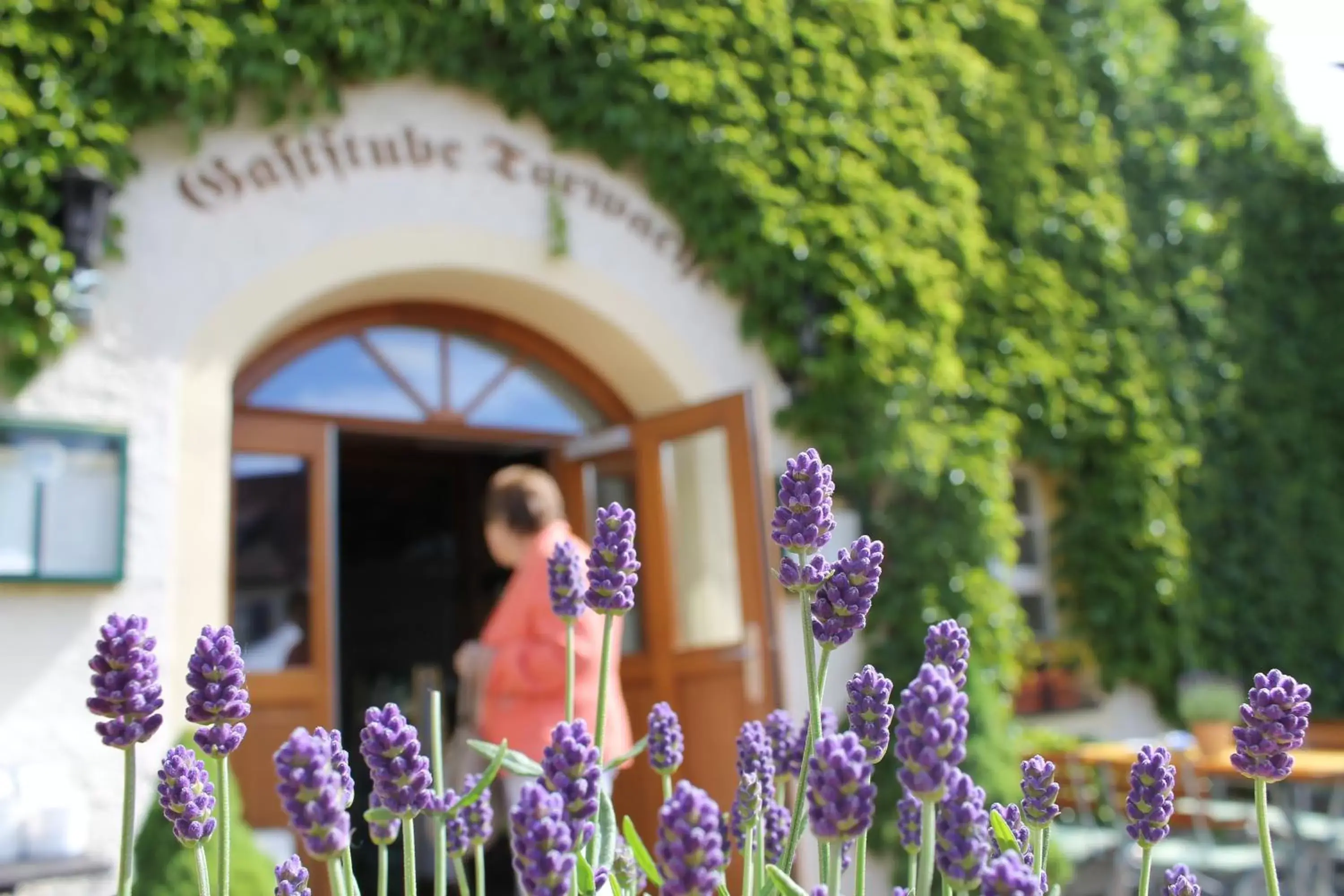 Garden in Schlosshotel Klaffenbach