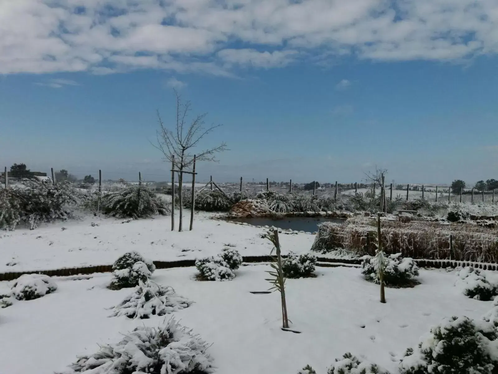 View (from property/room), Winter in La collina delle fonti