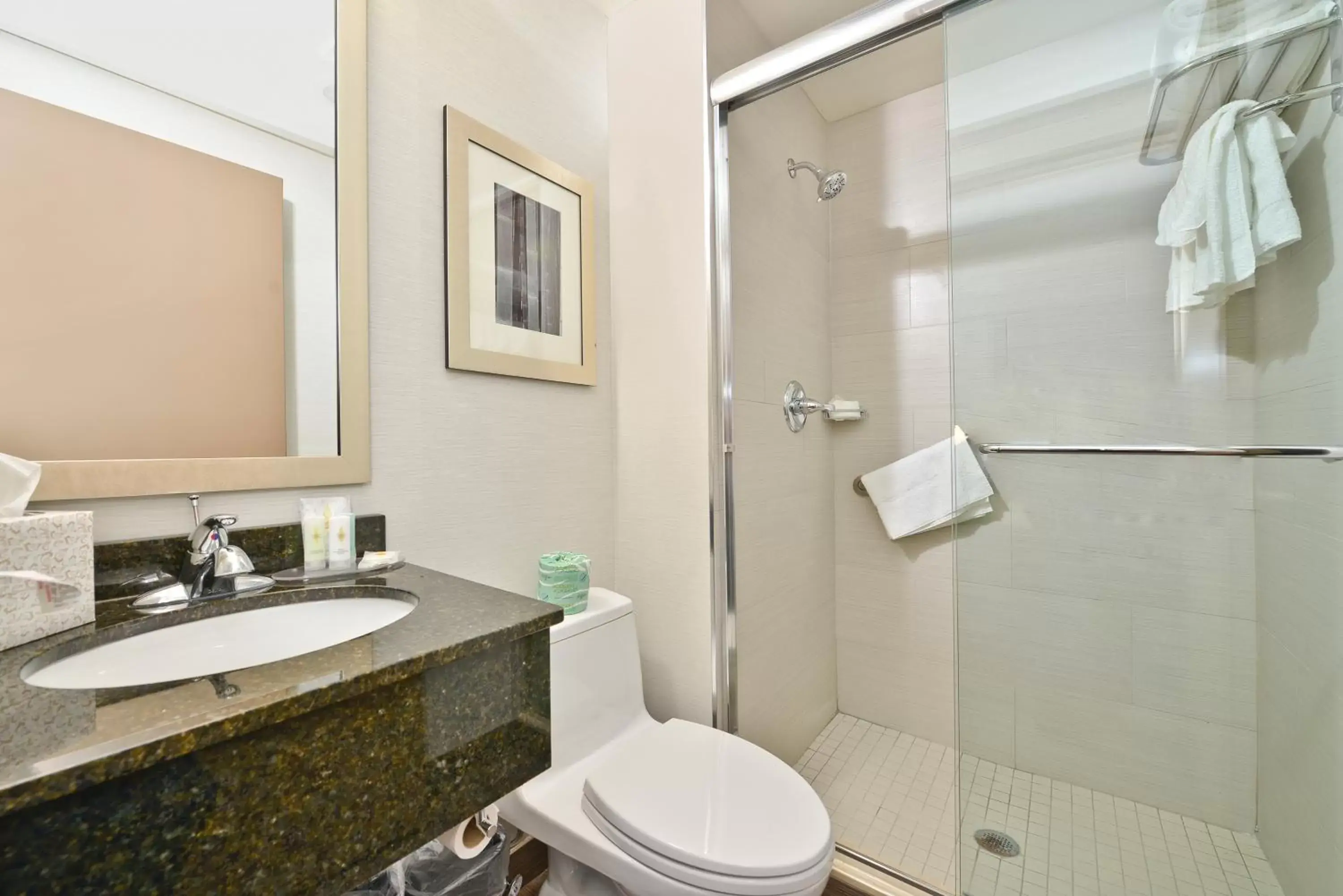 Bathroom in Comfort Inn Manhattan - Midtown West