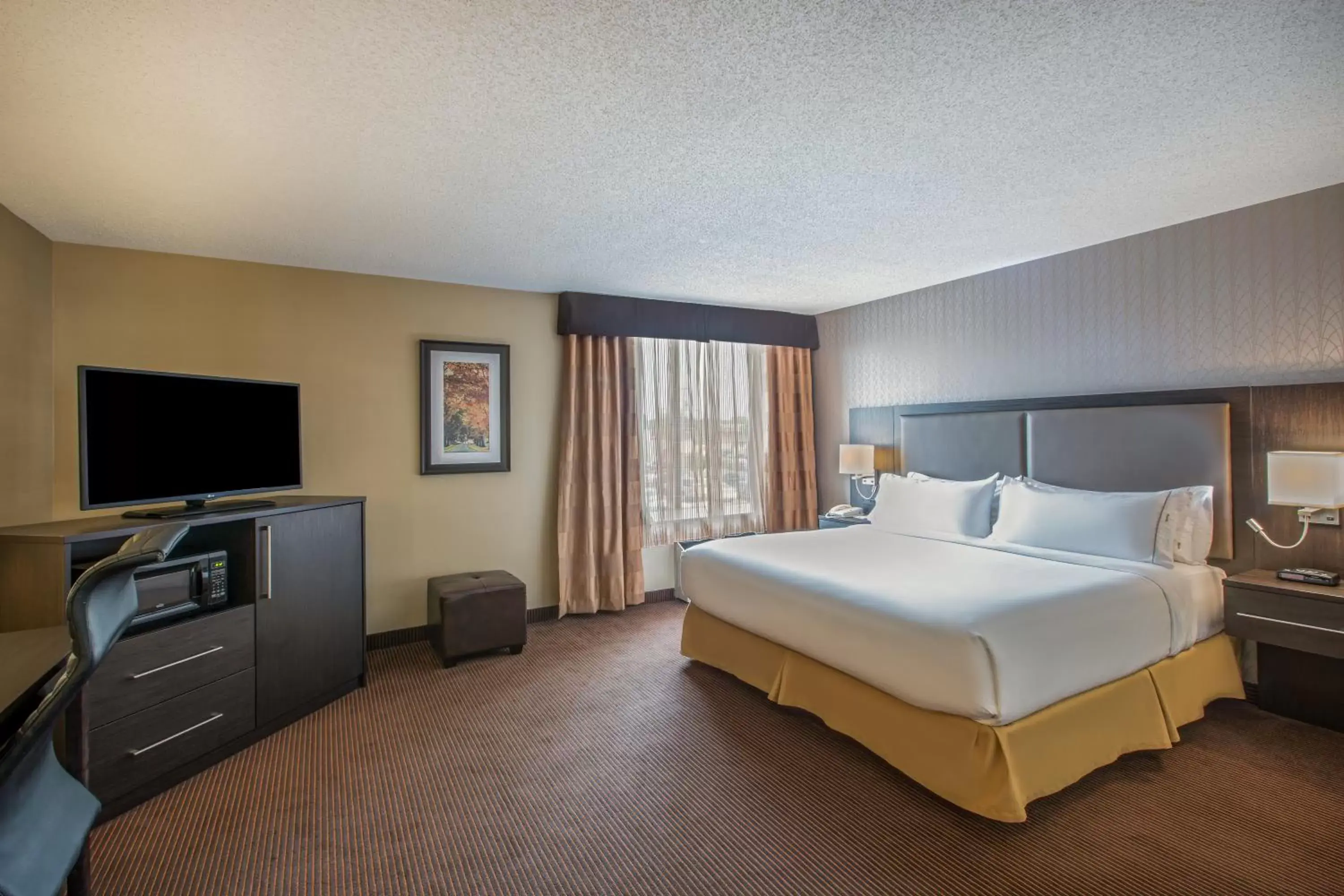 Photo of the whole room, Bed in Holiday Inn Express & Suites Regina Downtown, an IHG Hotel