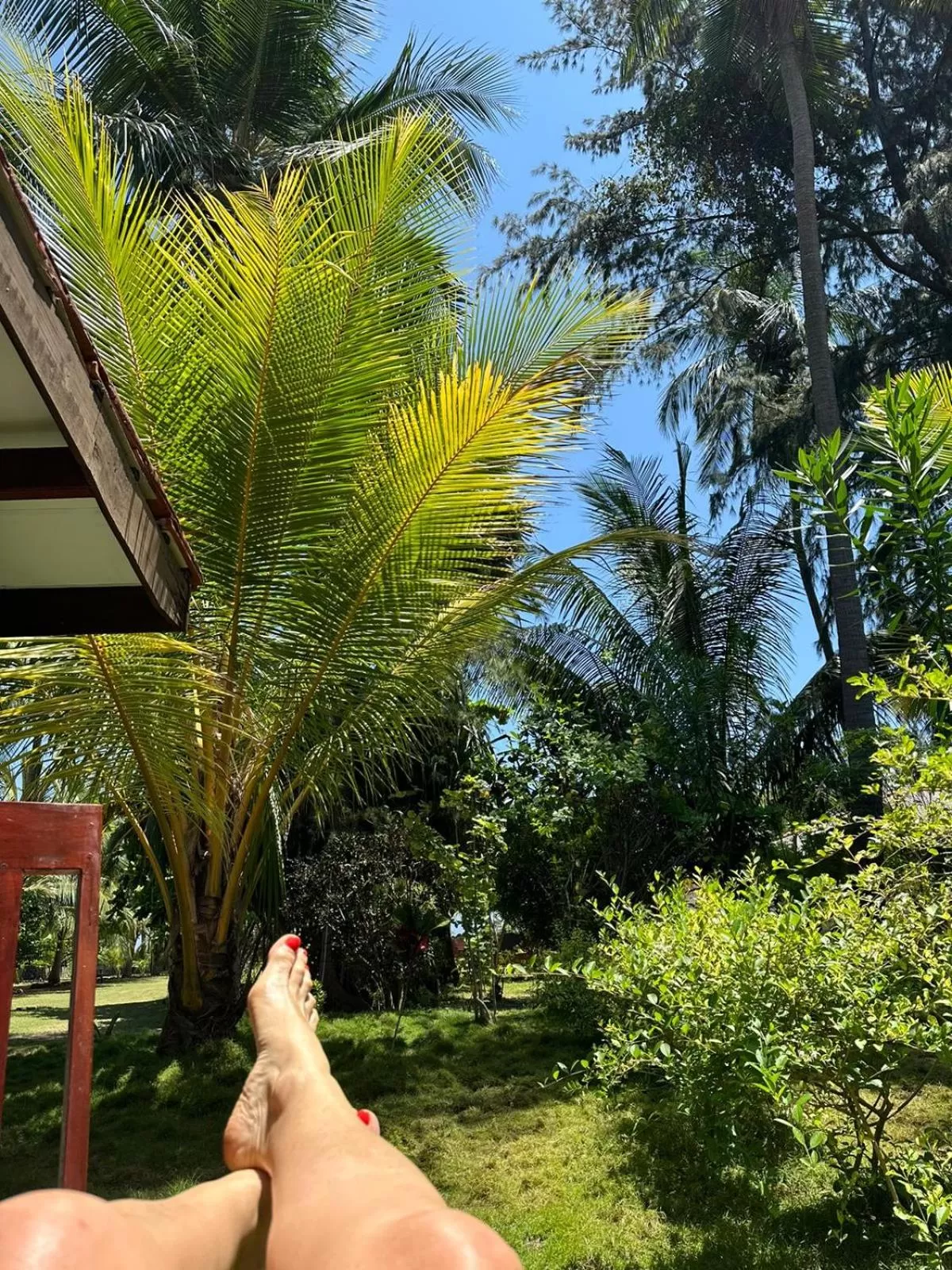 Garden view, Garden in 108 Palms Beach Resort