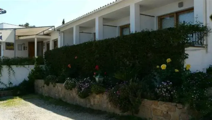 Garden, Property Building in Hostal Ondina