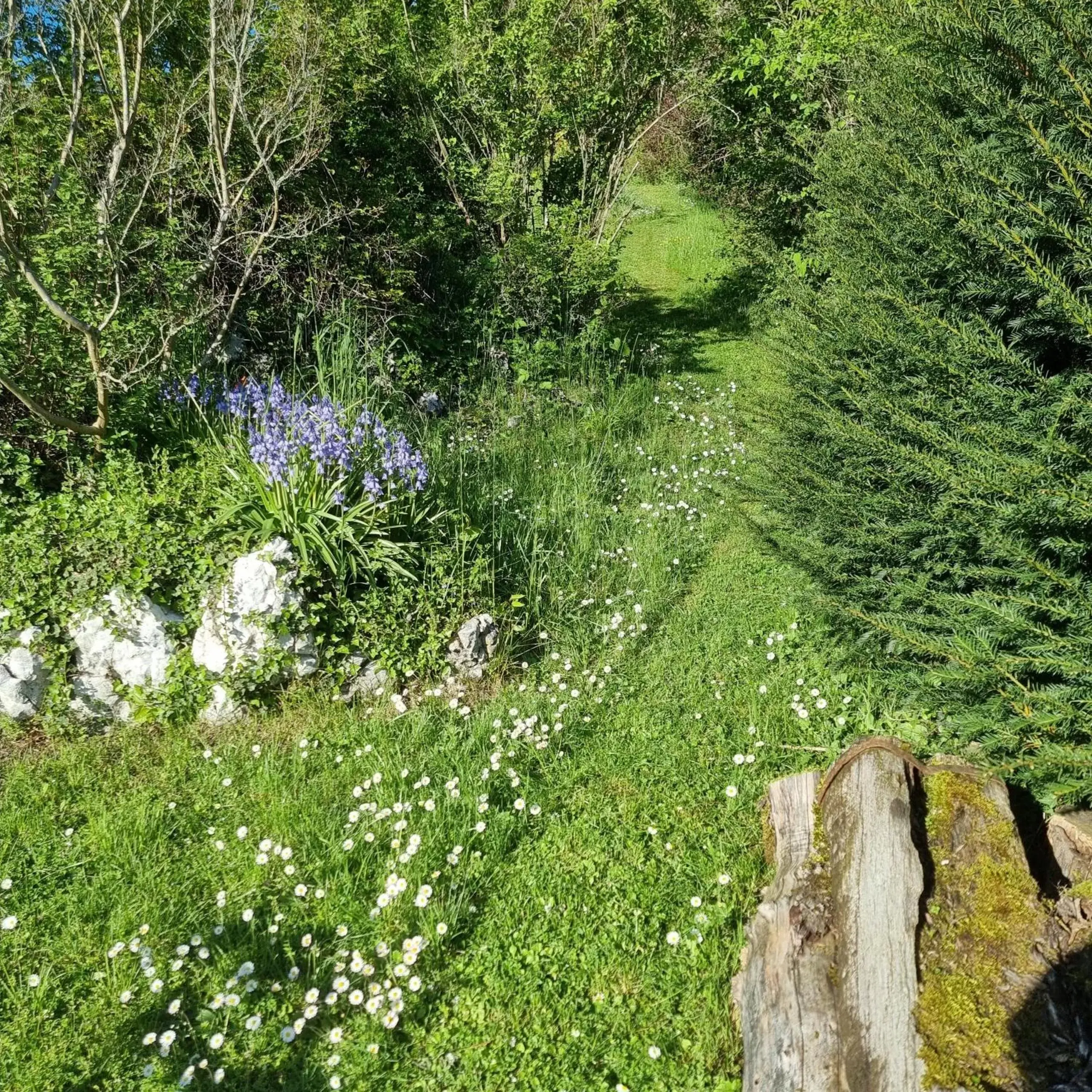 Garden in La Vallombreuse