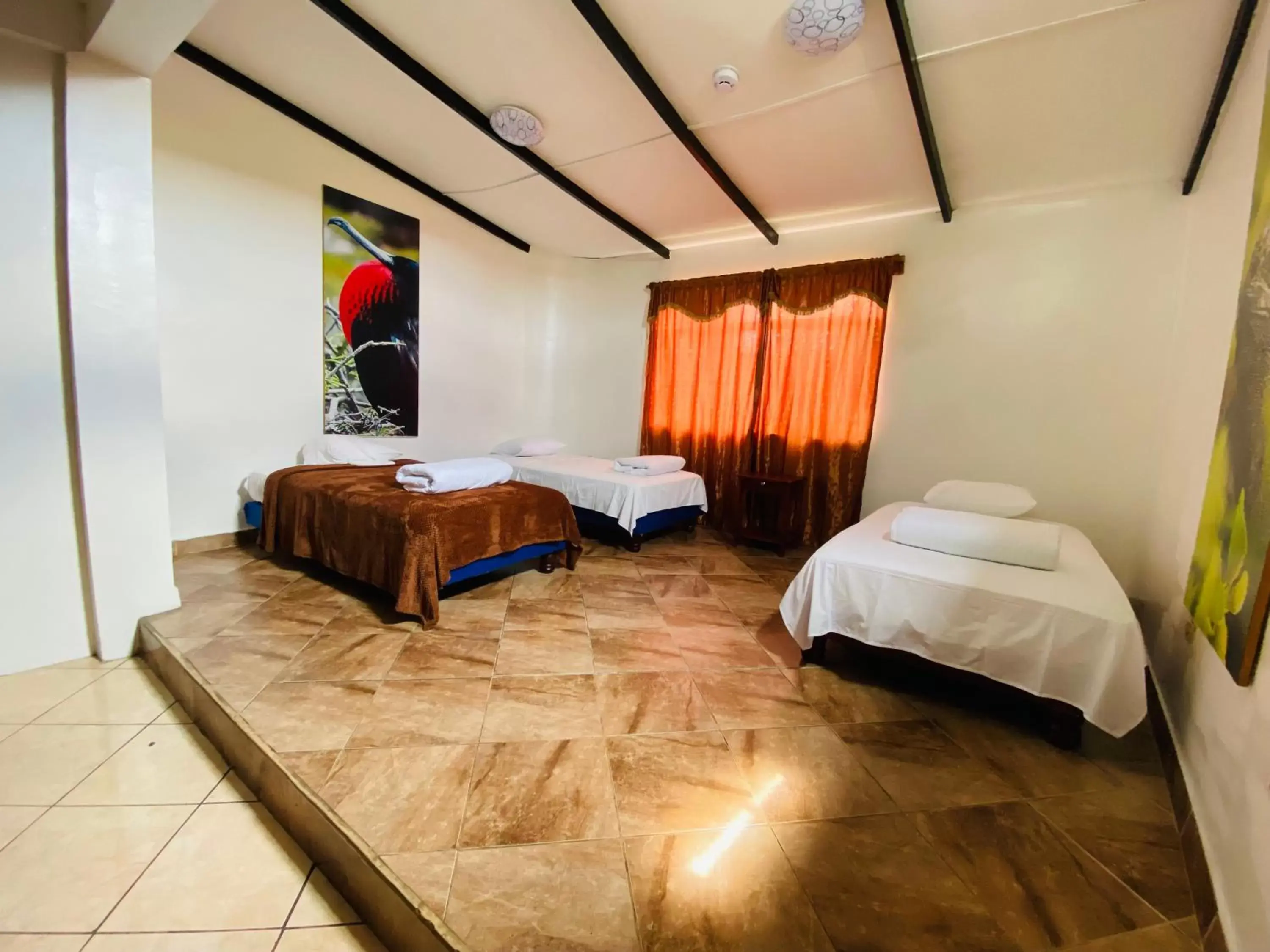 Classic Quadruple Room - single occupancy in Hotel Crossman Classic Quadruple Room - single occupancy in Hotel Crossman