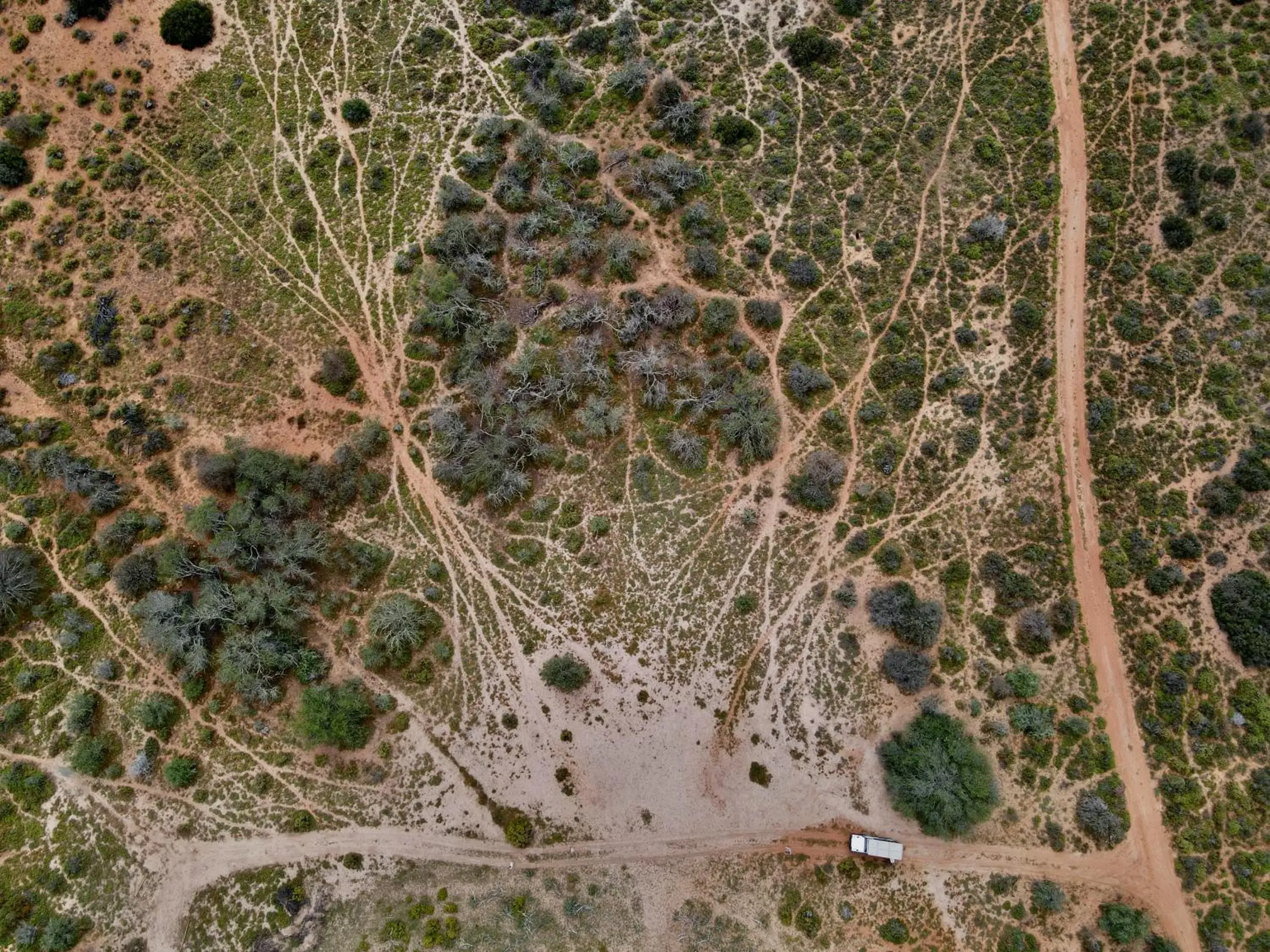 Natural landscape, Bird's-eye View in Buffelsdrift Game Lodge