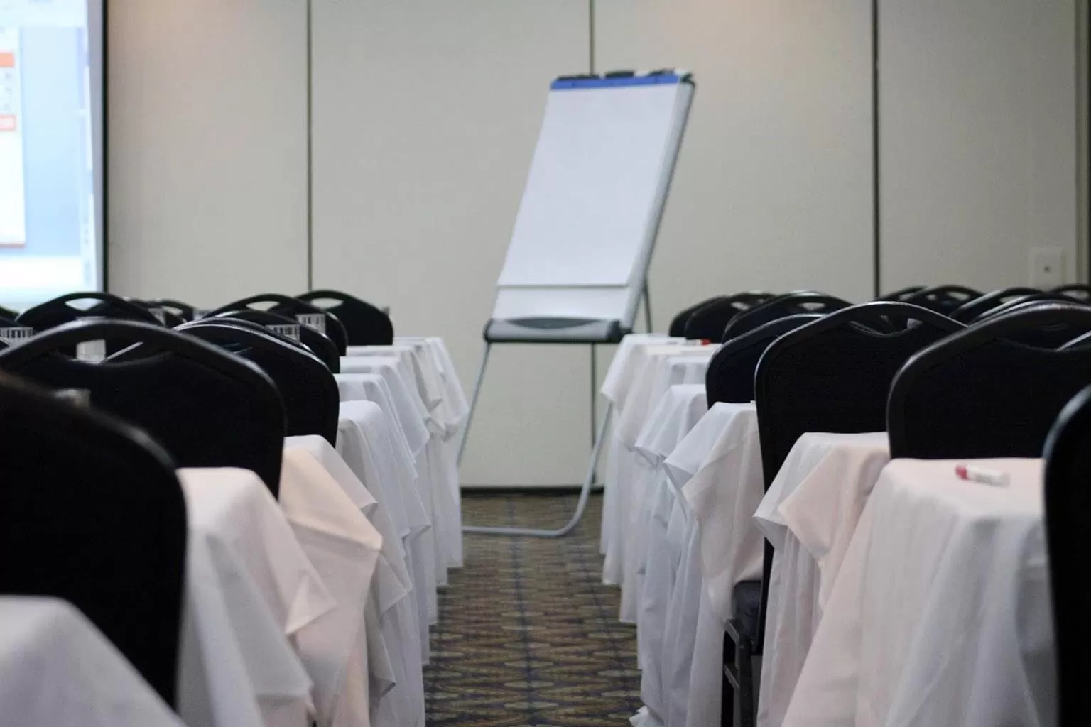 Banquet/Function facilities in W&P Santo Domingo