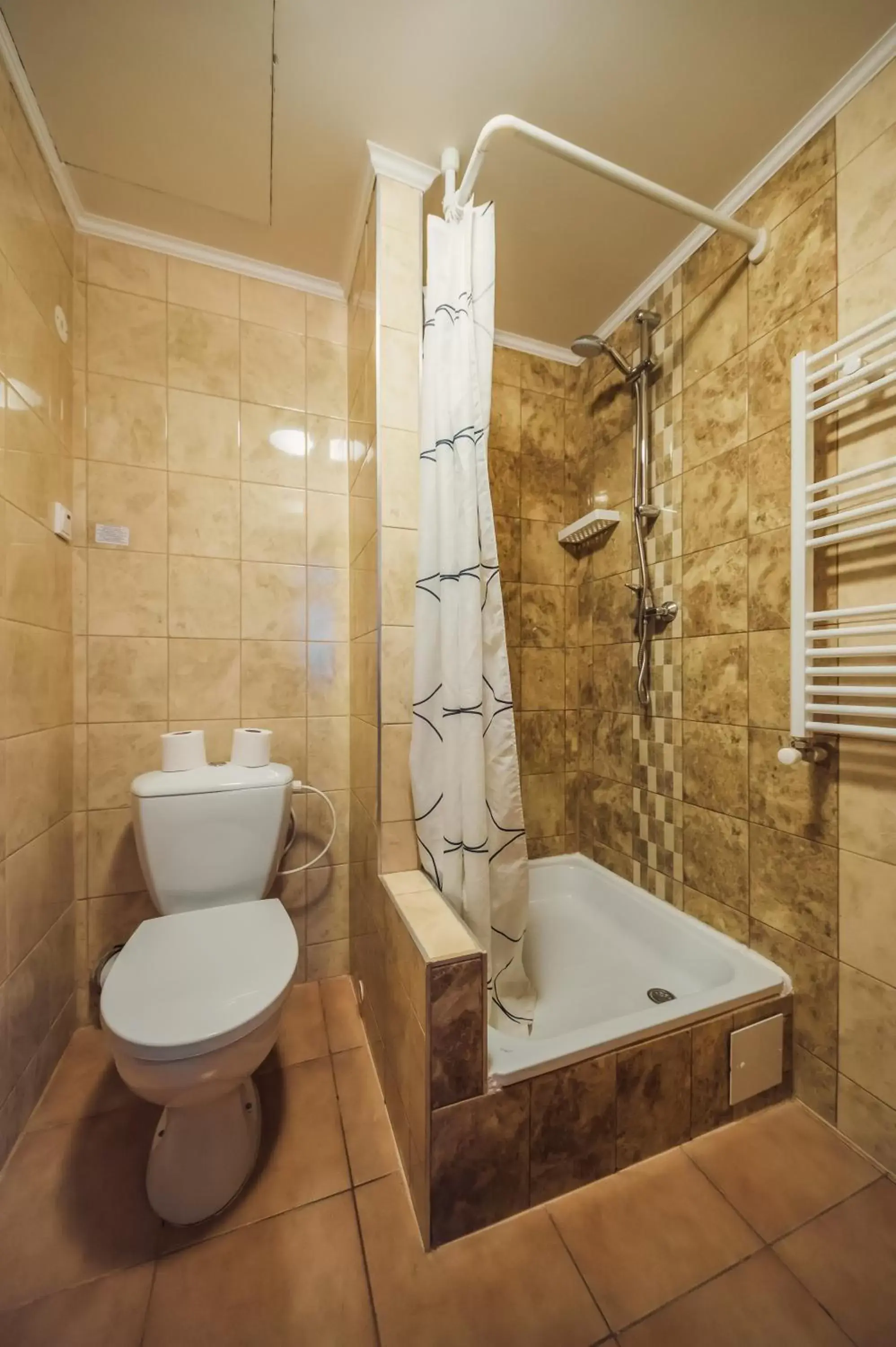 Bathroom in Hotel Czechia