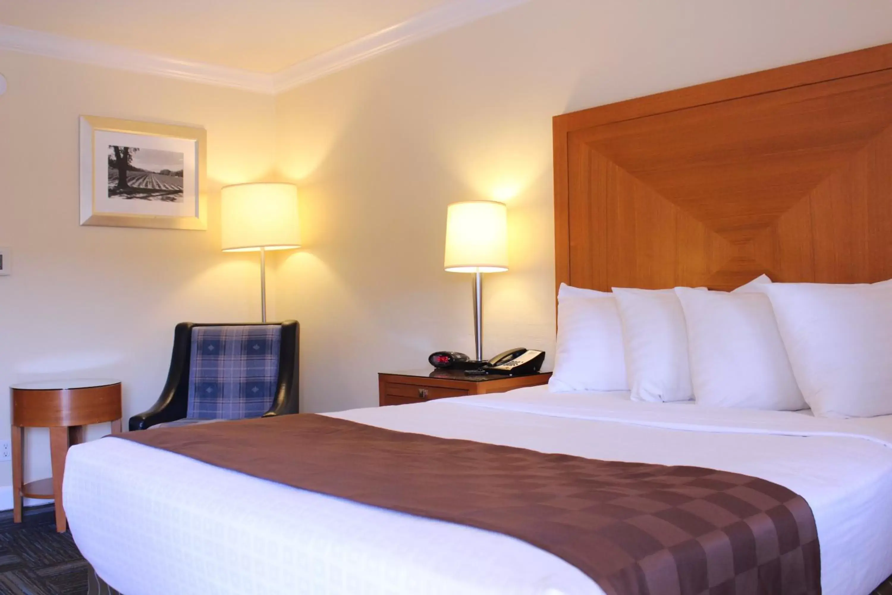 Bed in Inn at San Luis Obispo Bed in Inn at San Luis Obispo