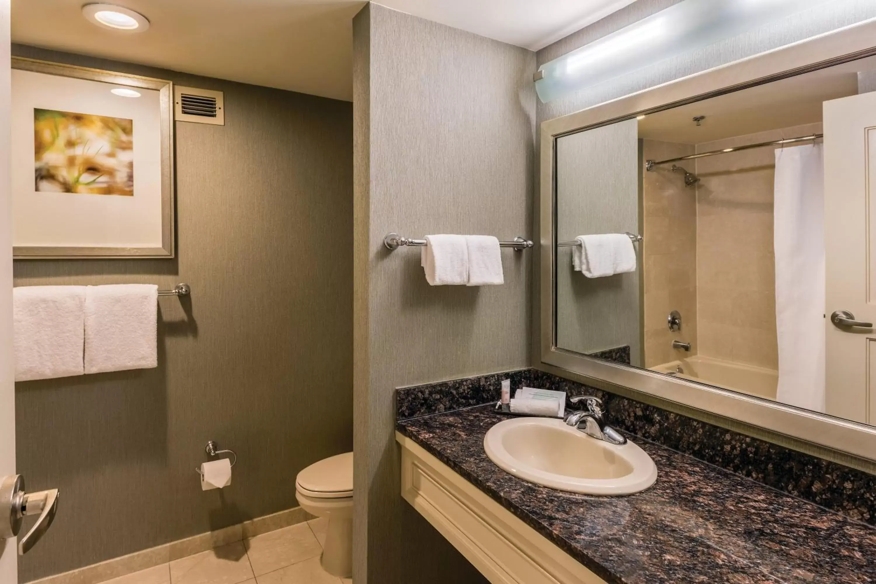 Bathroom in Gold Strike Casino Resort