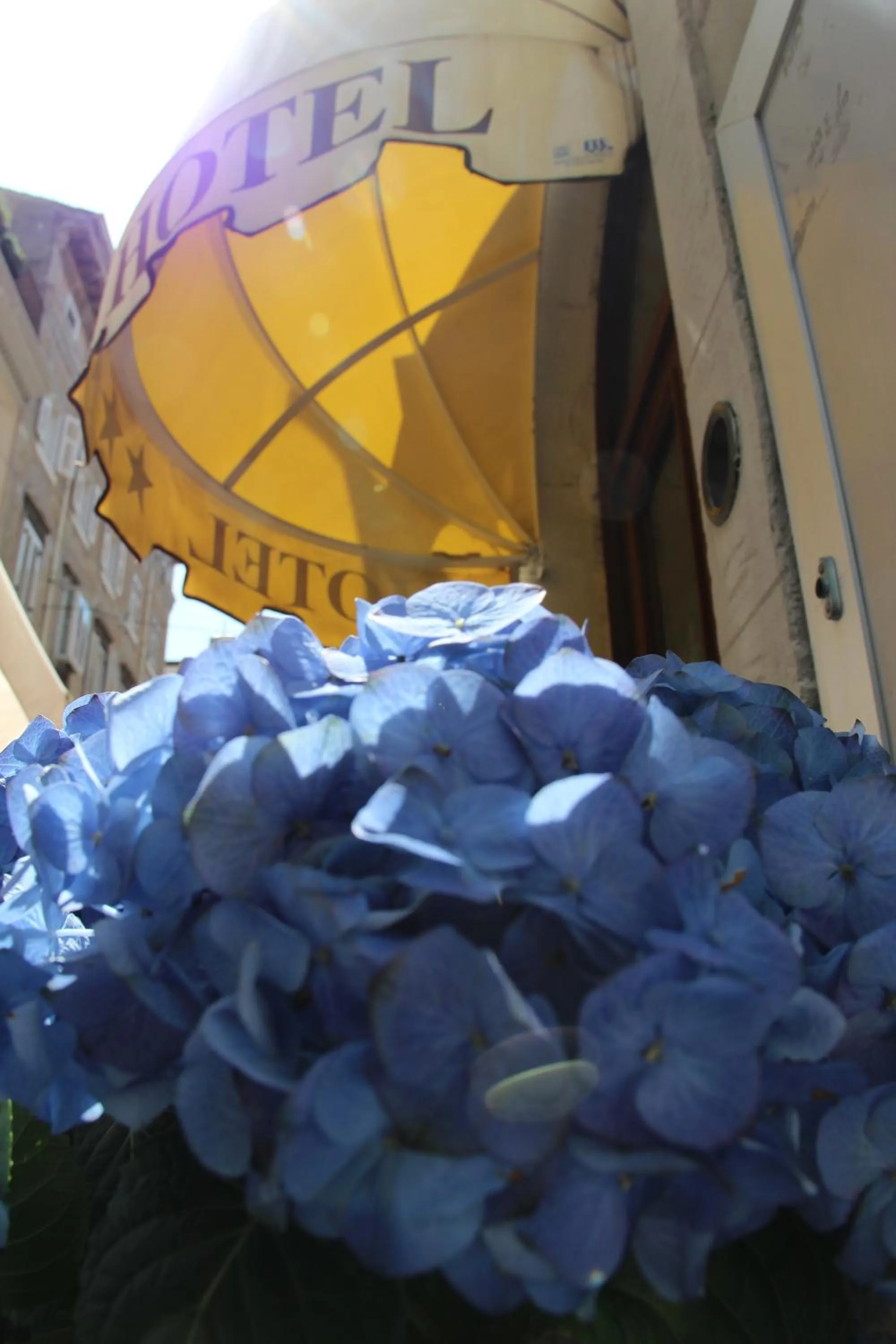 Facade/entrance in Albergo Al Viale