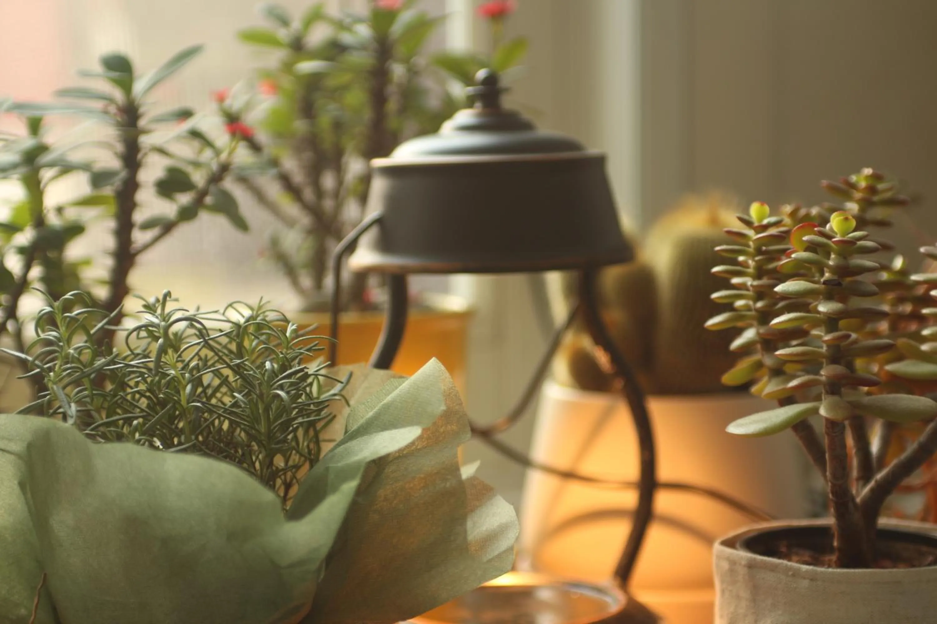 Decorative detail in Yeha Guesthouse