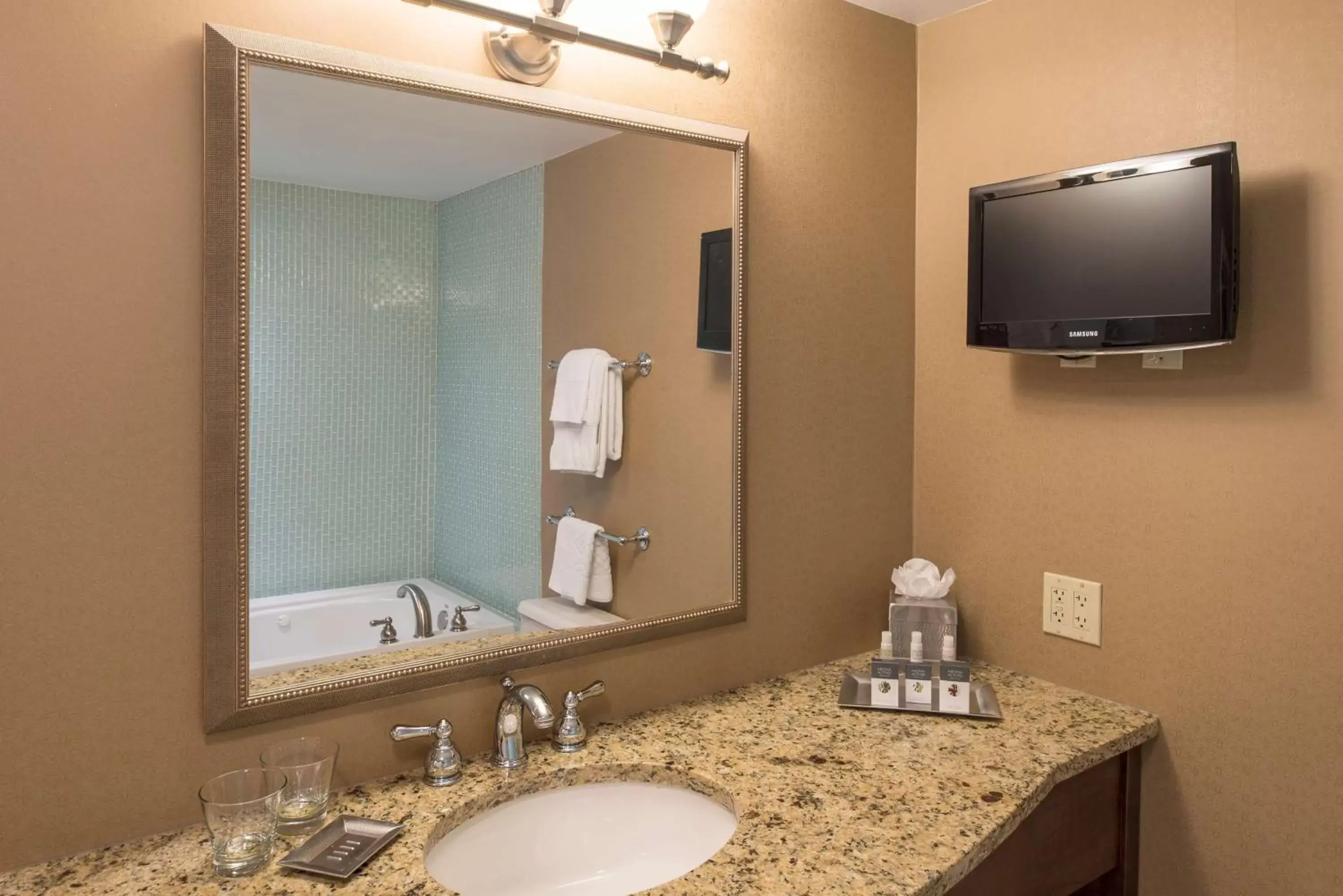 Bathroom in DoubleTree by Hilton Hotel Grand Rapids Airport