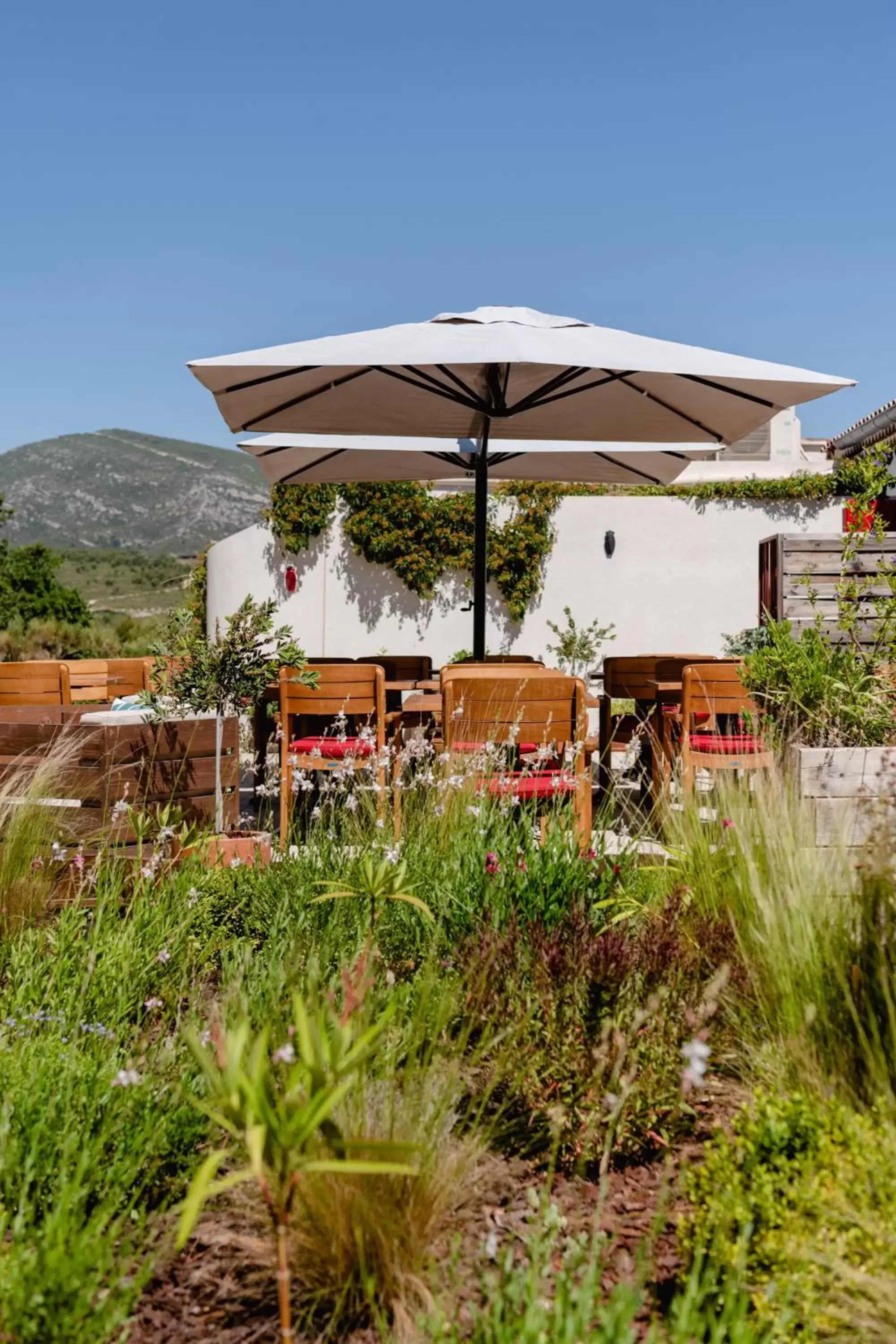 Garden in HôTEL LES VOLETS ROUGES - CASSIS