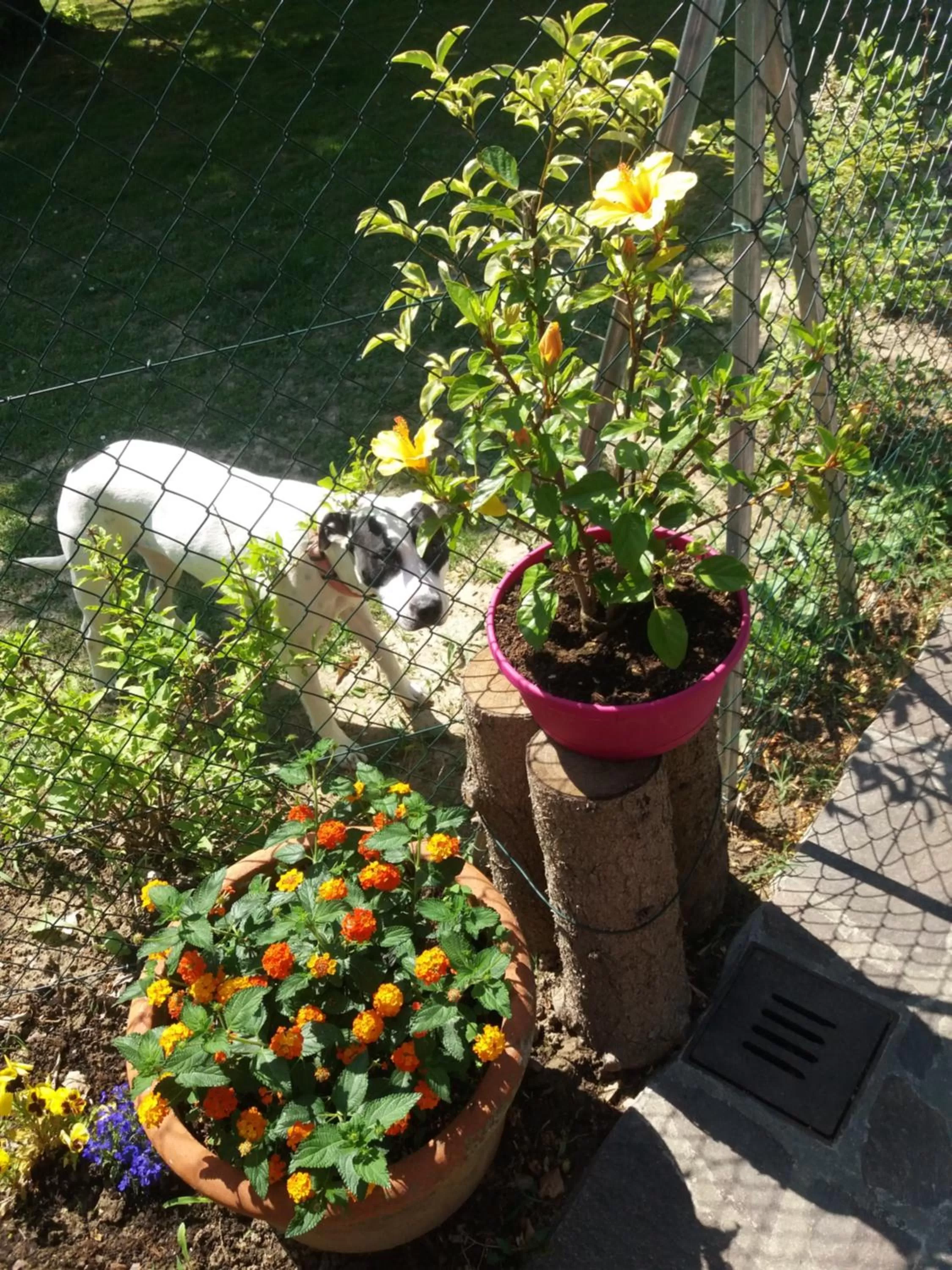 Garden in R&B un mondo a colori