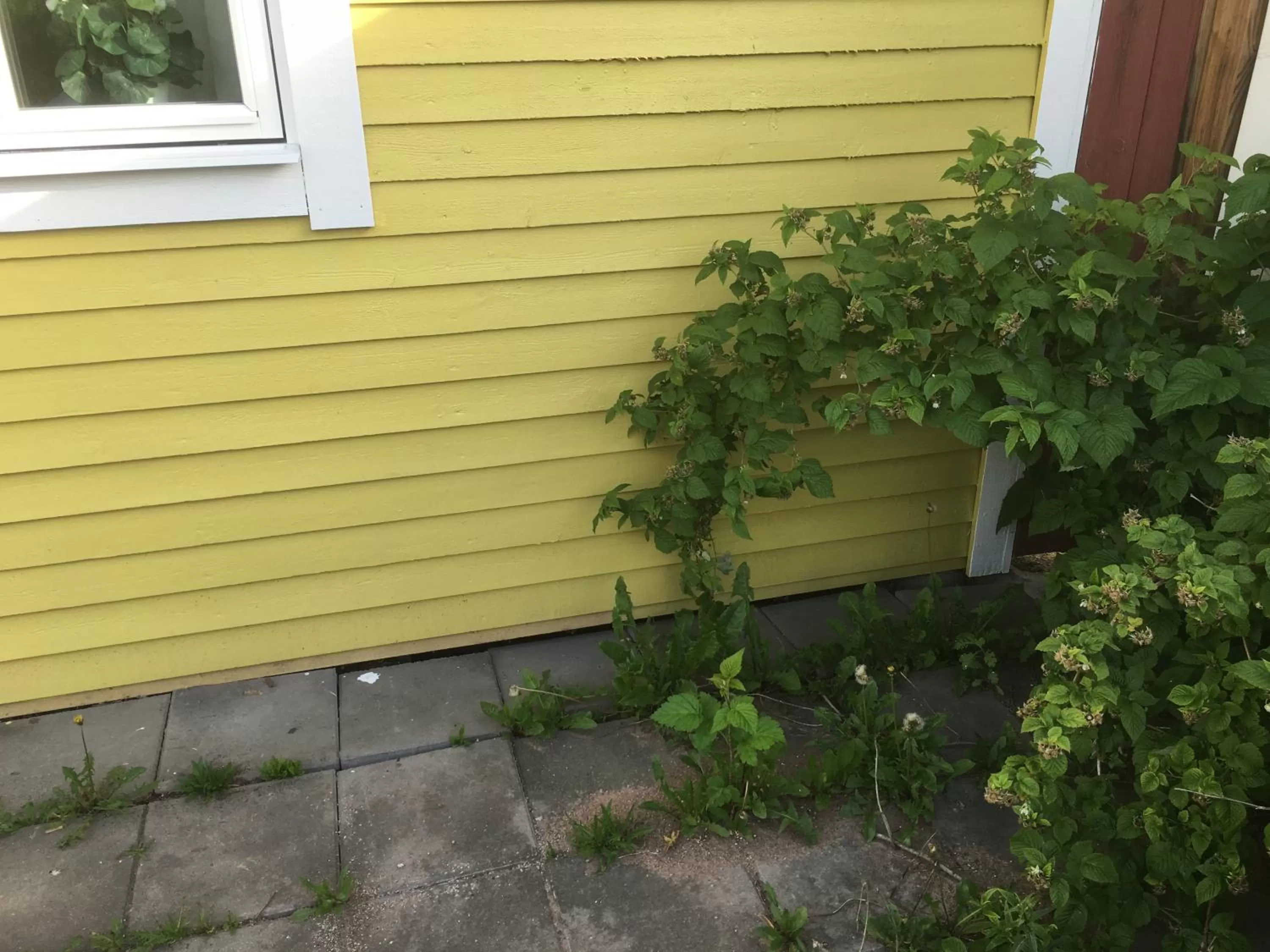 Other in Augustas Bed & Breakfast