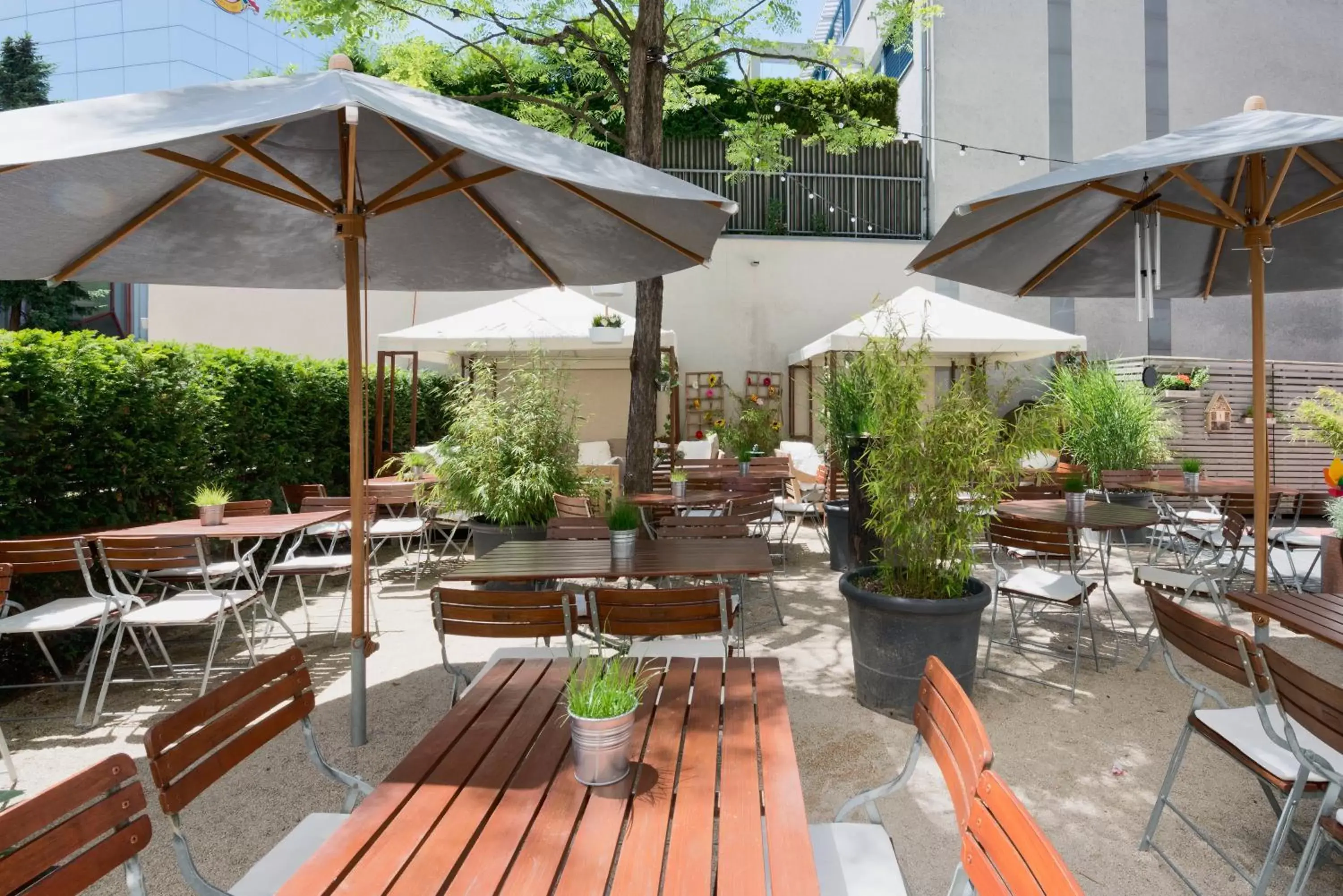 Other, Patio/Outdoor Area in Blue City Boutique Hotel