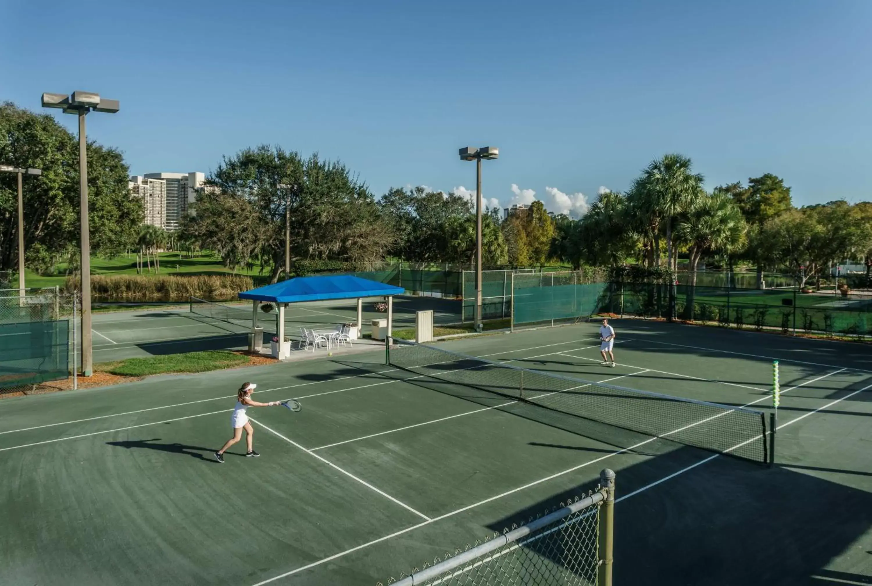Sports, Tennis/Squash in Hyatt Regency Grand Cypress Resort