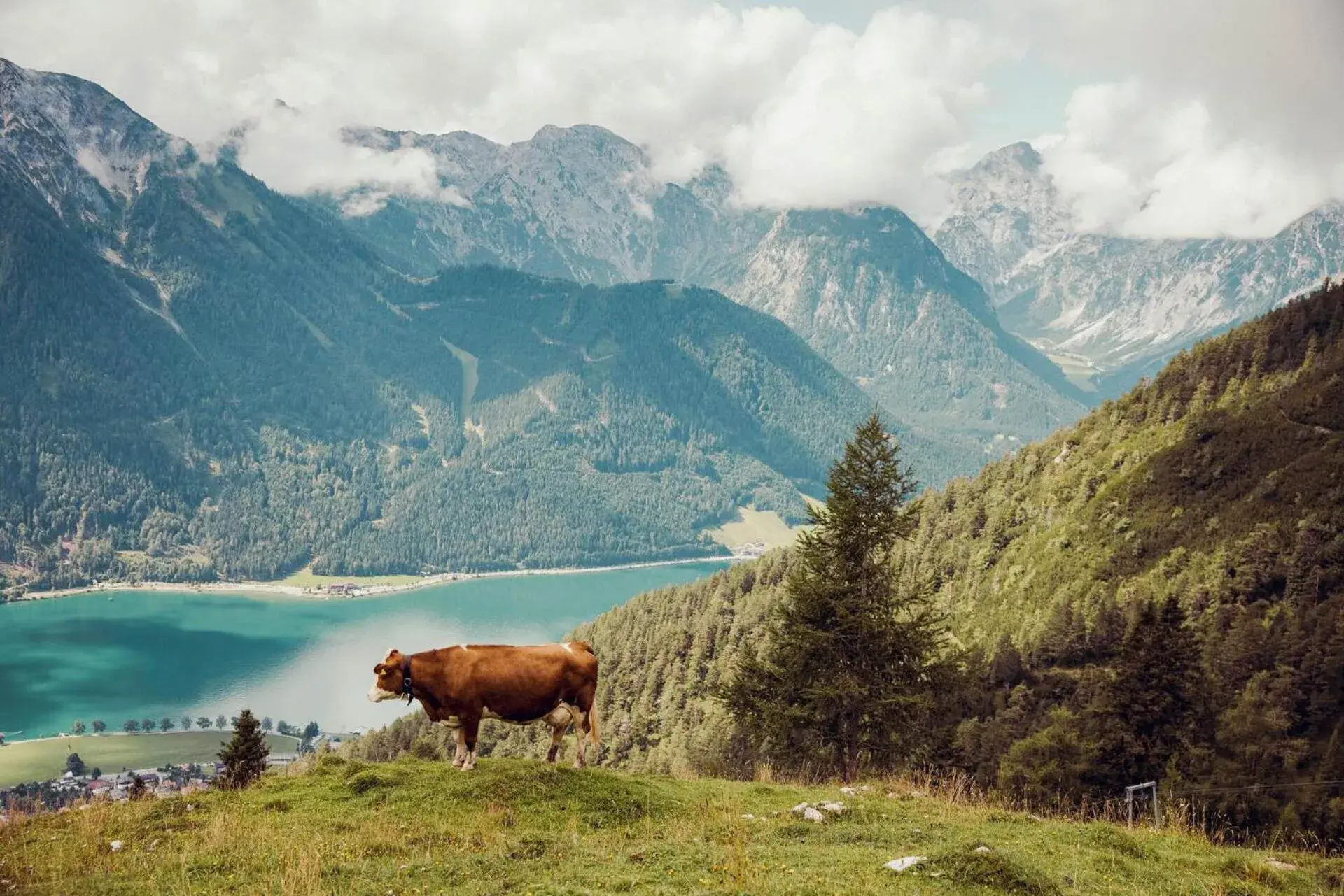 Summer, Natural Landscape in Hotel St. Georg zum See