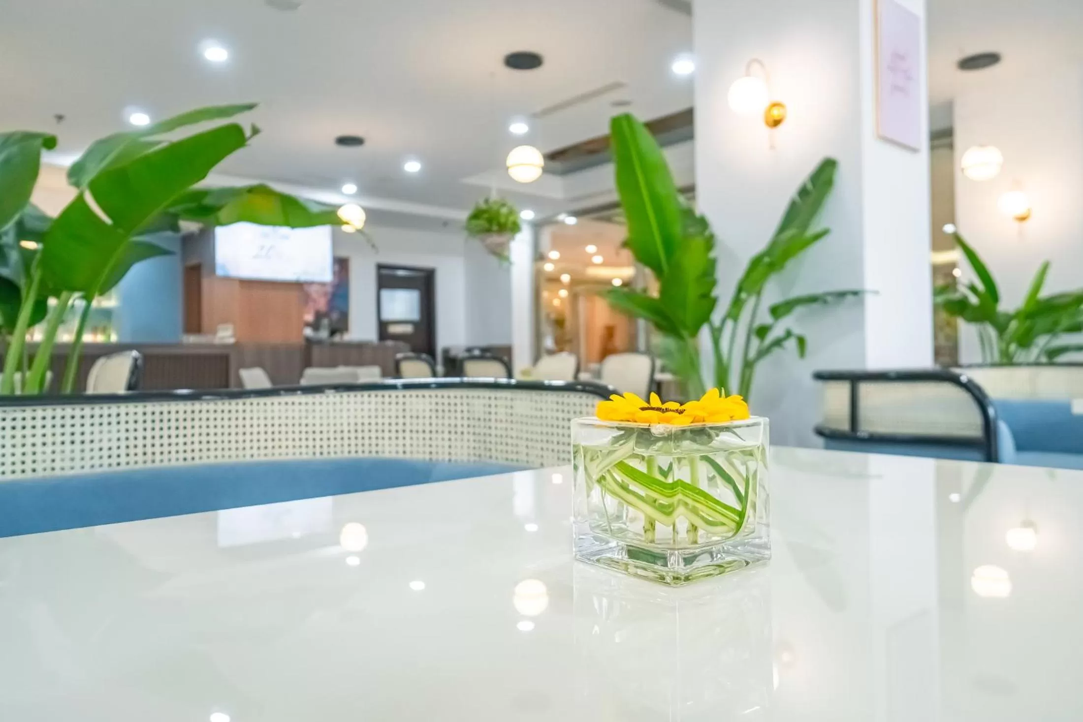 Restaurant/places to eat in Bao Son International Hotel