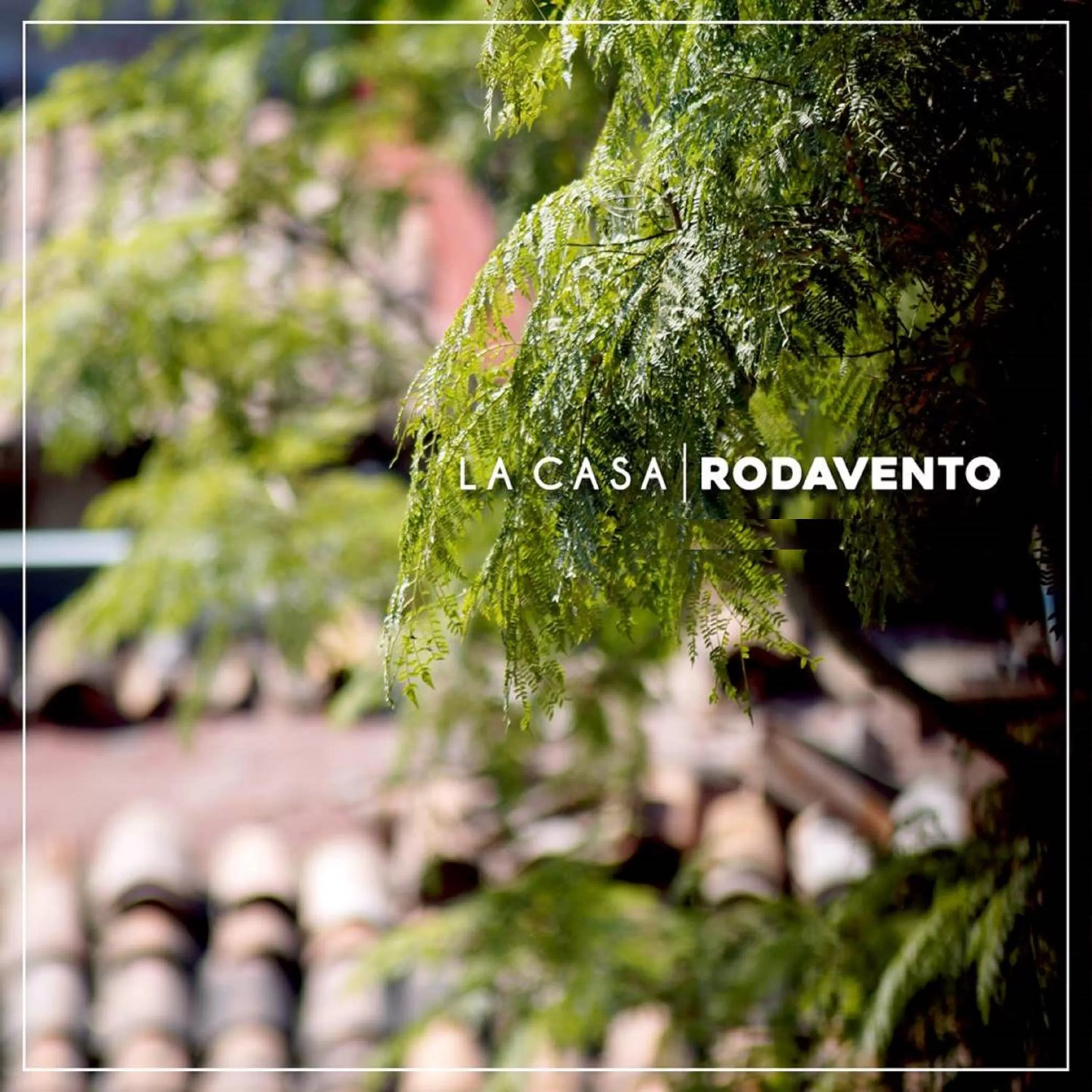 Garden in La Casa Rodavento