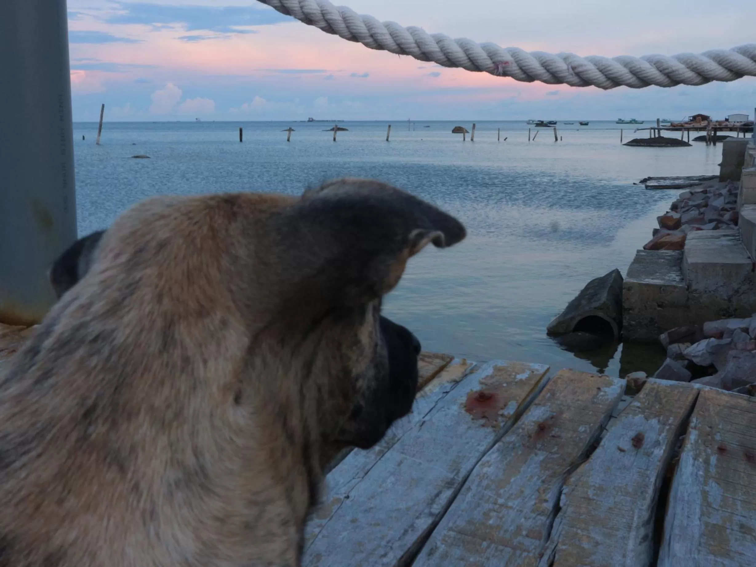 The Pier Phu Quoc Resort