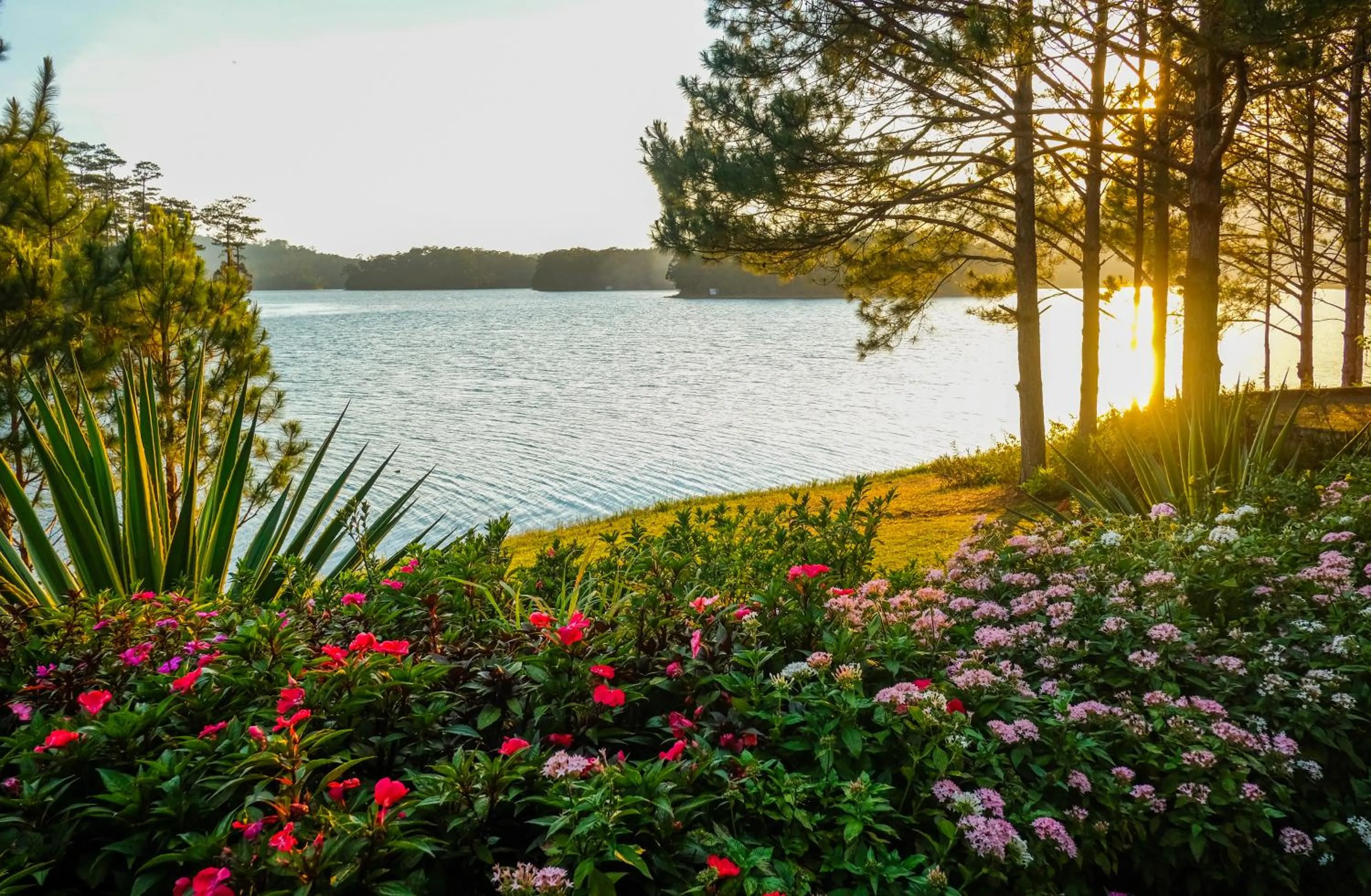 Lake view in Binh An Village Resort