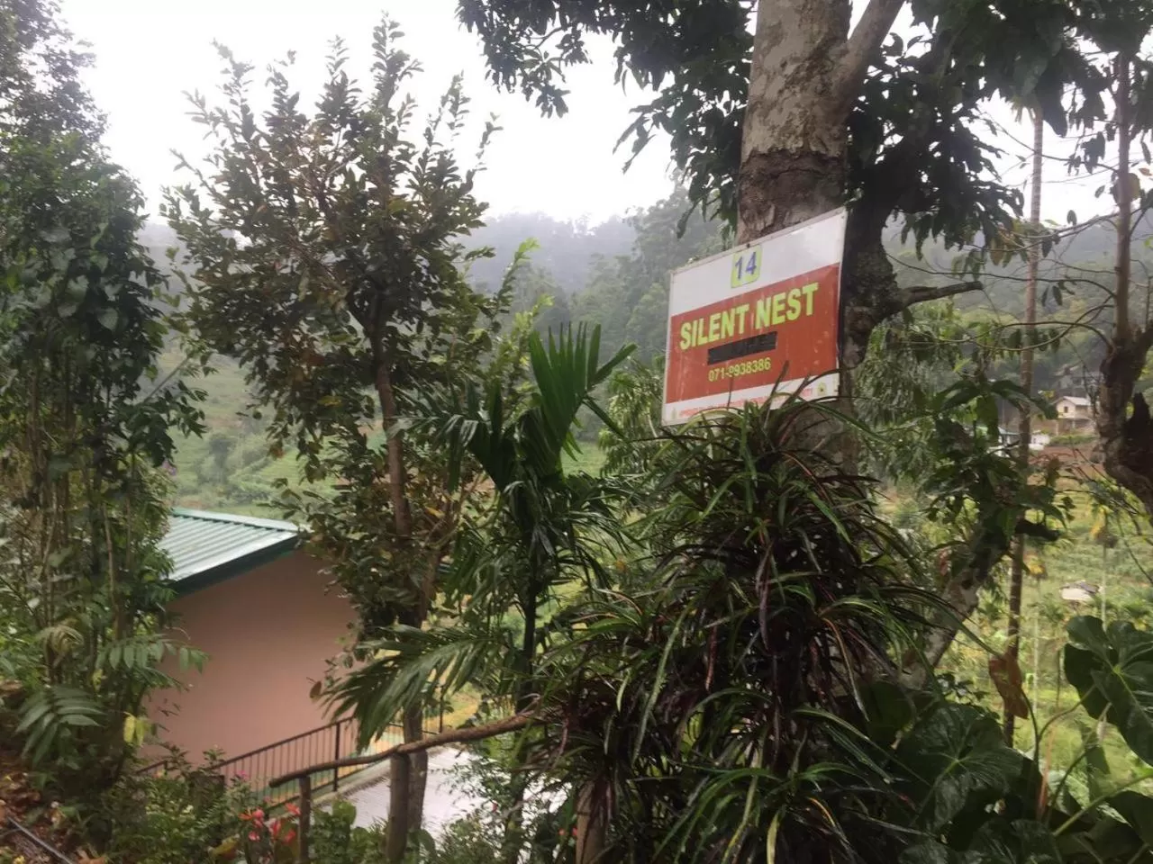 Garden in Silent Nest