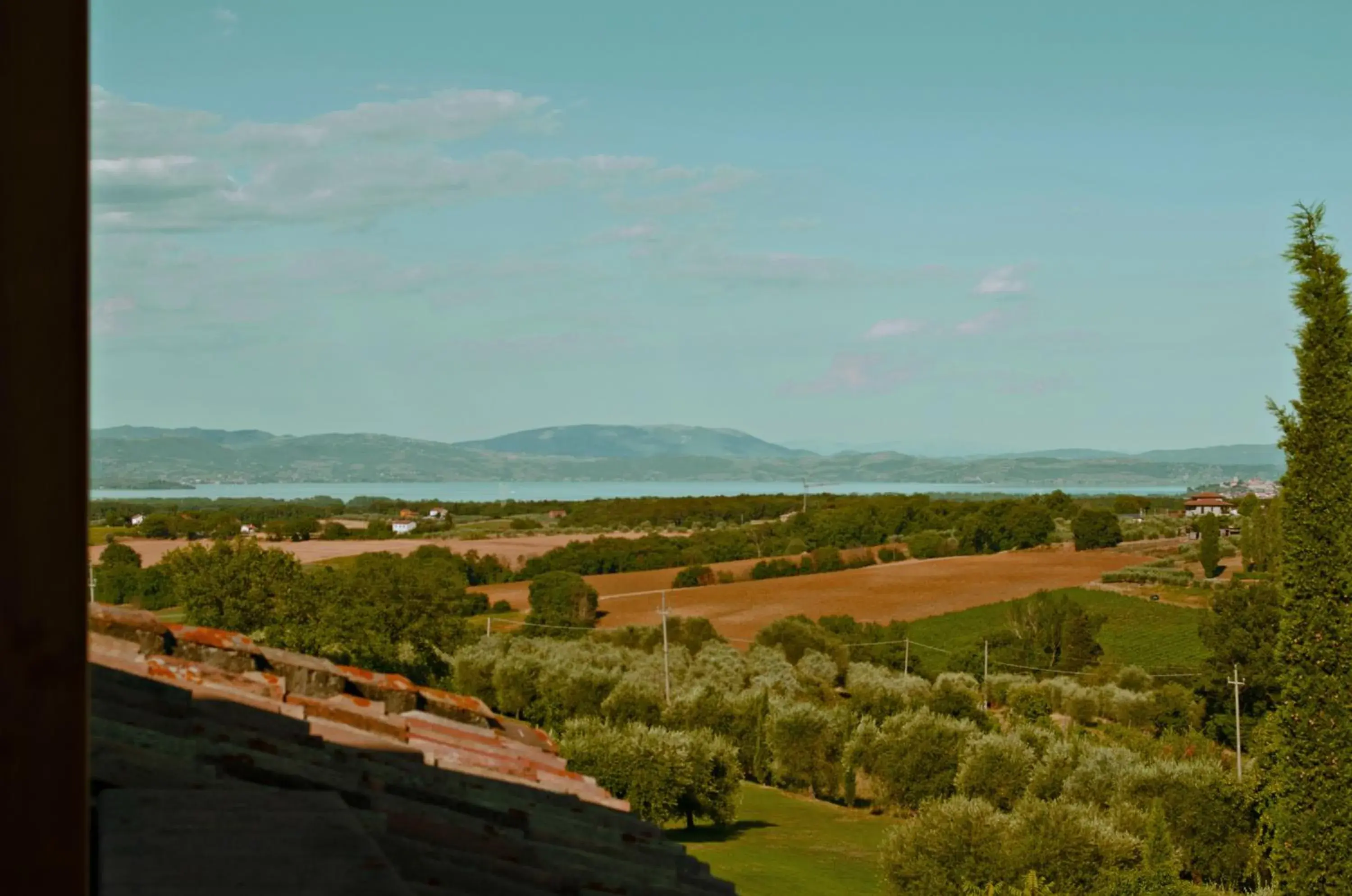 View (from property/room) in Locanda Poggioleone