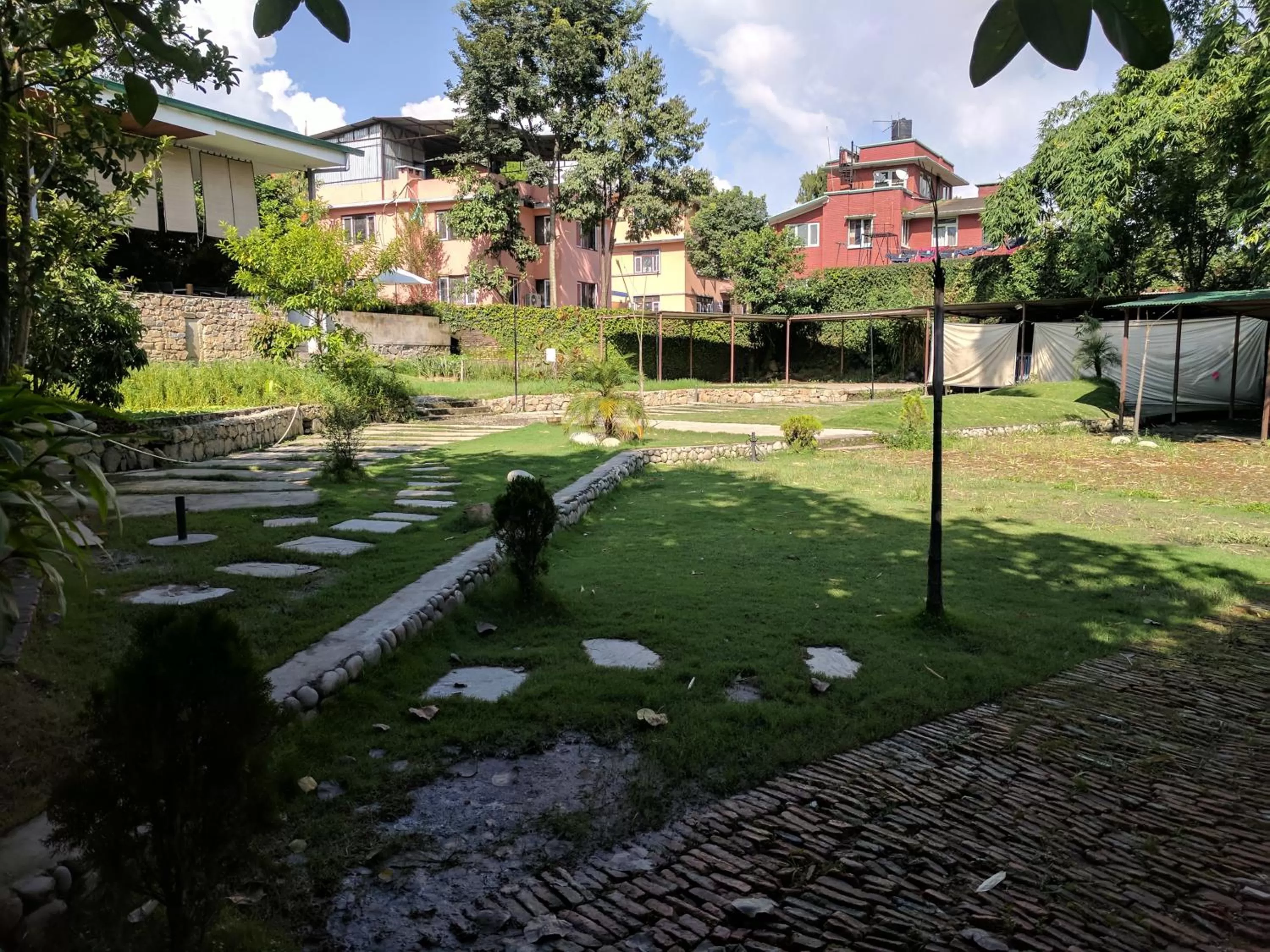 Garden in The Museum