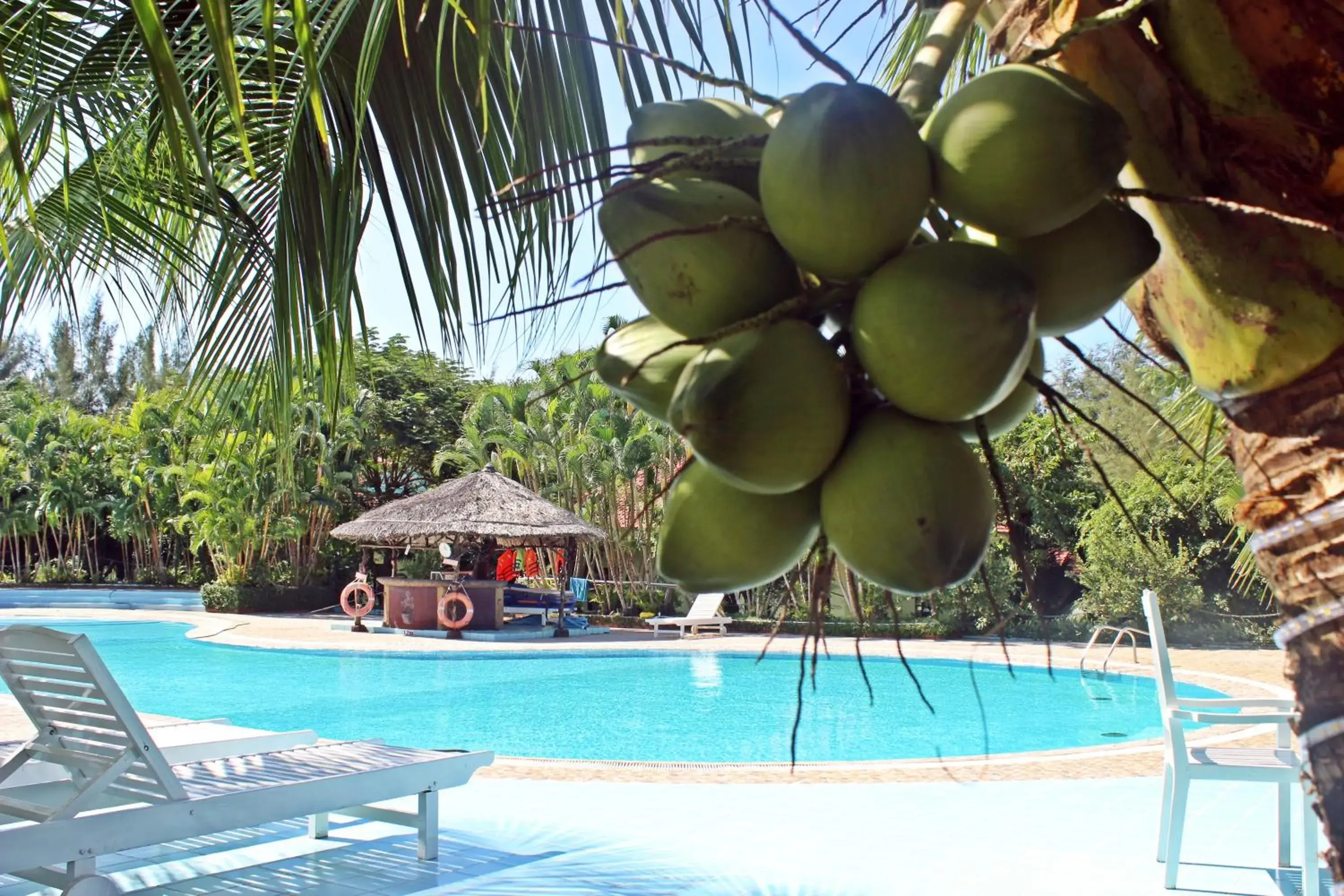 Swimming Pool in HAWAII RESORT PHU QUOC