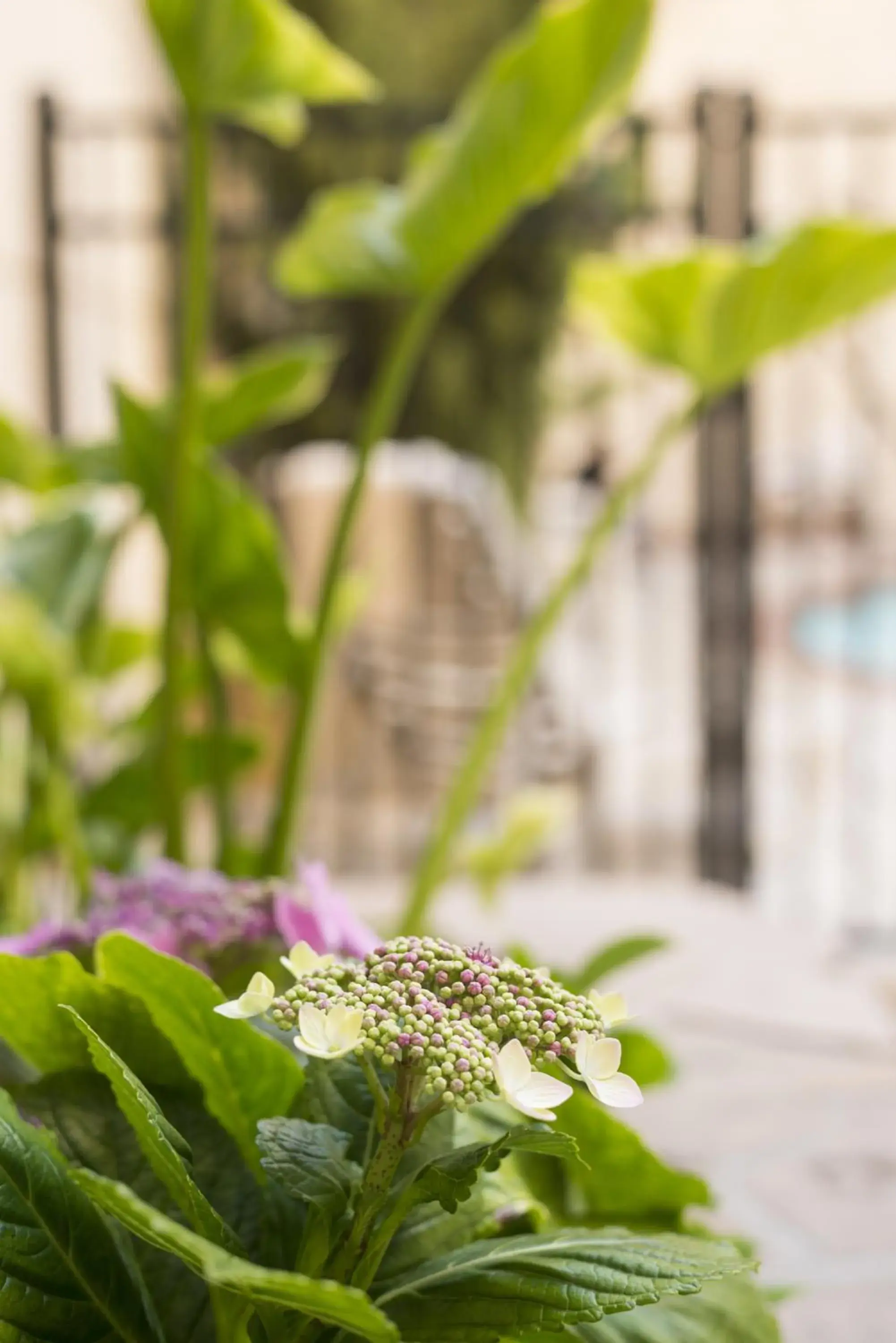 Decorative detail in Ayres Hotel Manhattan Beach Hawthorne