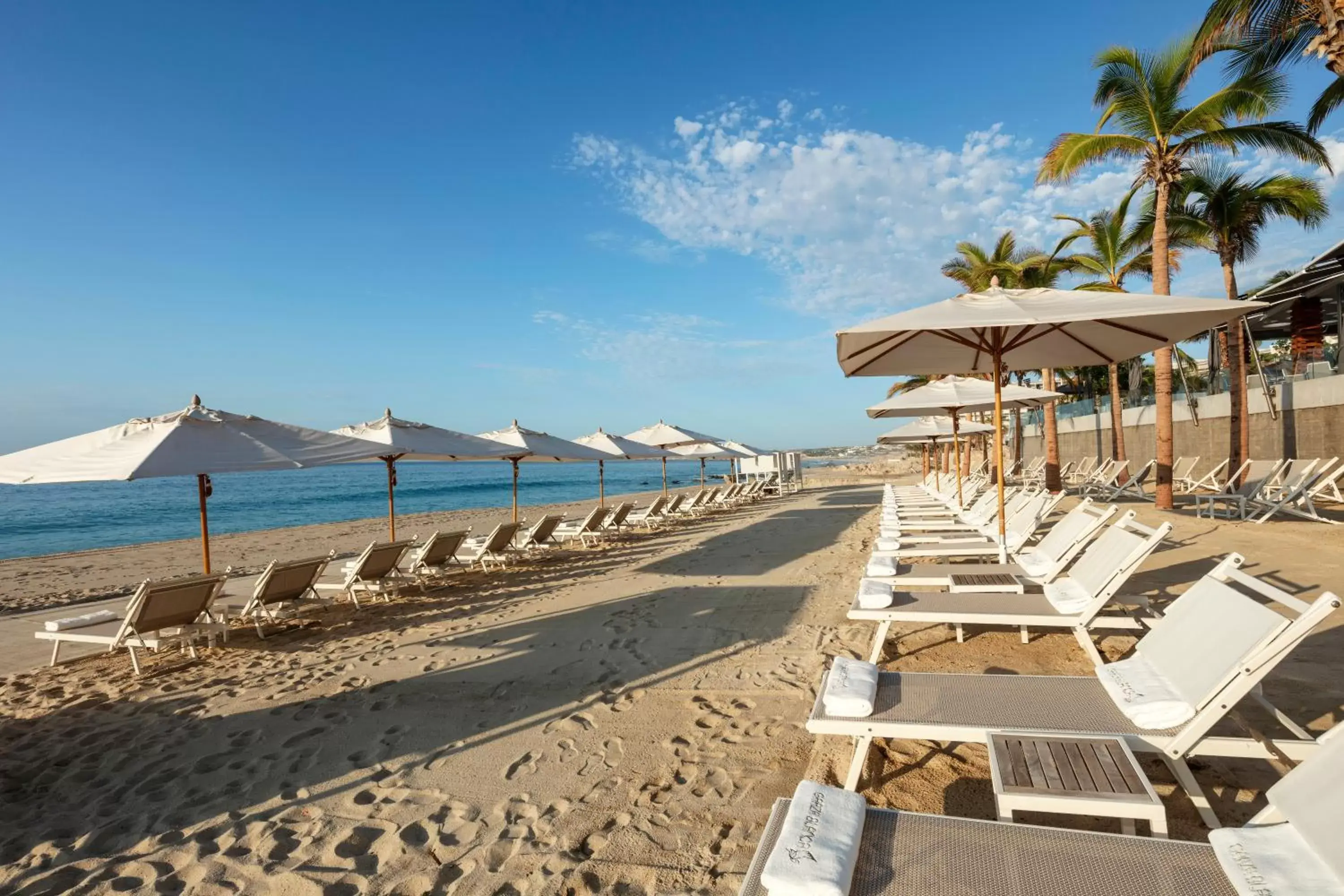 Beach in Garza Blanca Resort & Spa Los Cabos