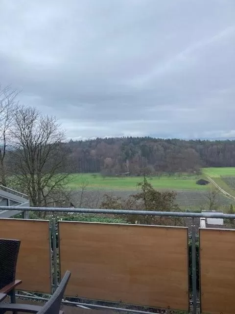 View (from property/room) in Gasthof Krone Hotel & Restaurant