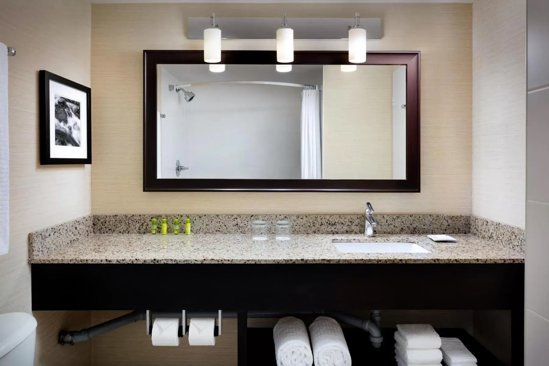 Bathroom in Delta Hotels by Marriott Sault Ste. Marie Waterfront