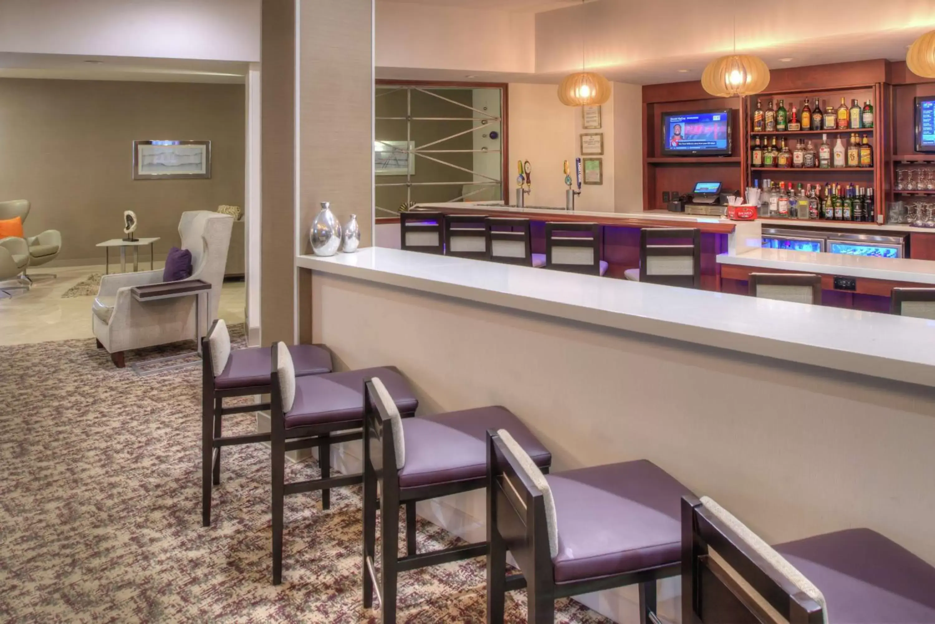 Lounge or bar, Lounge/Bar in DoubleTree by Hilton Atlanta North Druid Hills/Emory Area