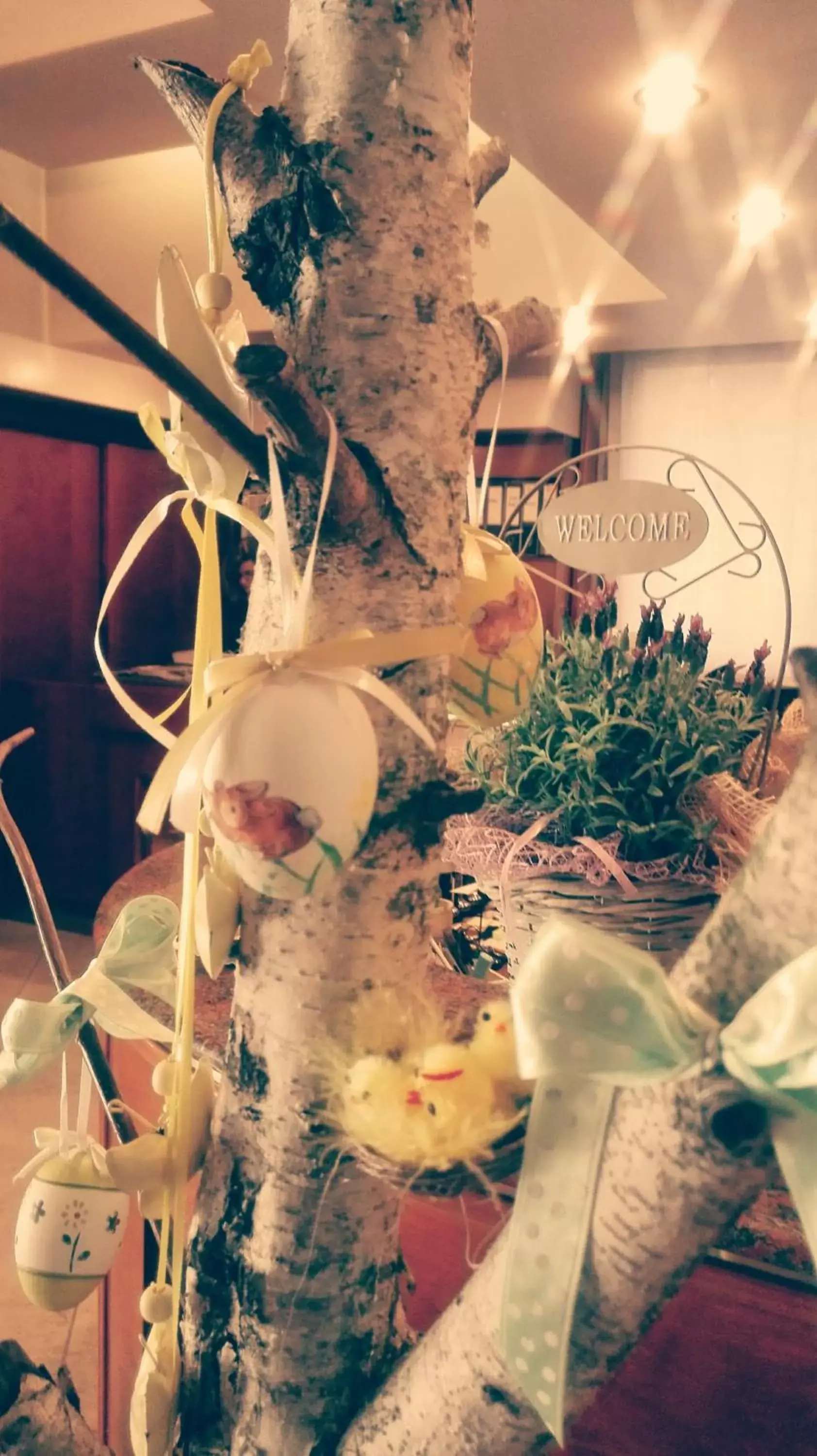 Lobby or reception in Hotel Igea Lobby or reception in Hotel Igea