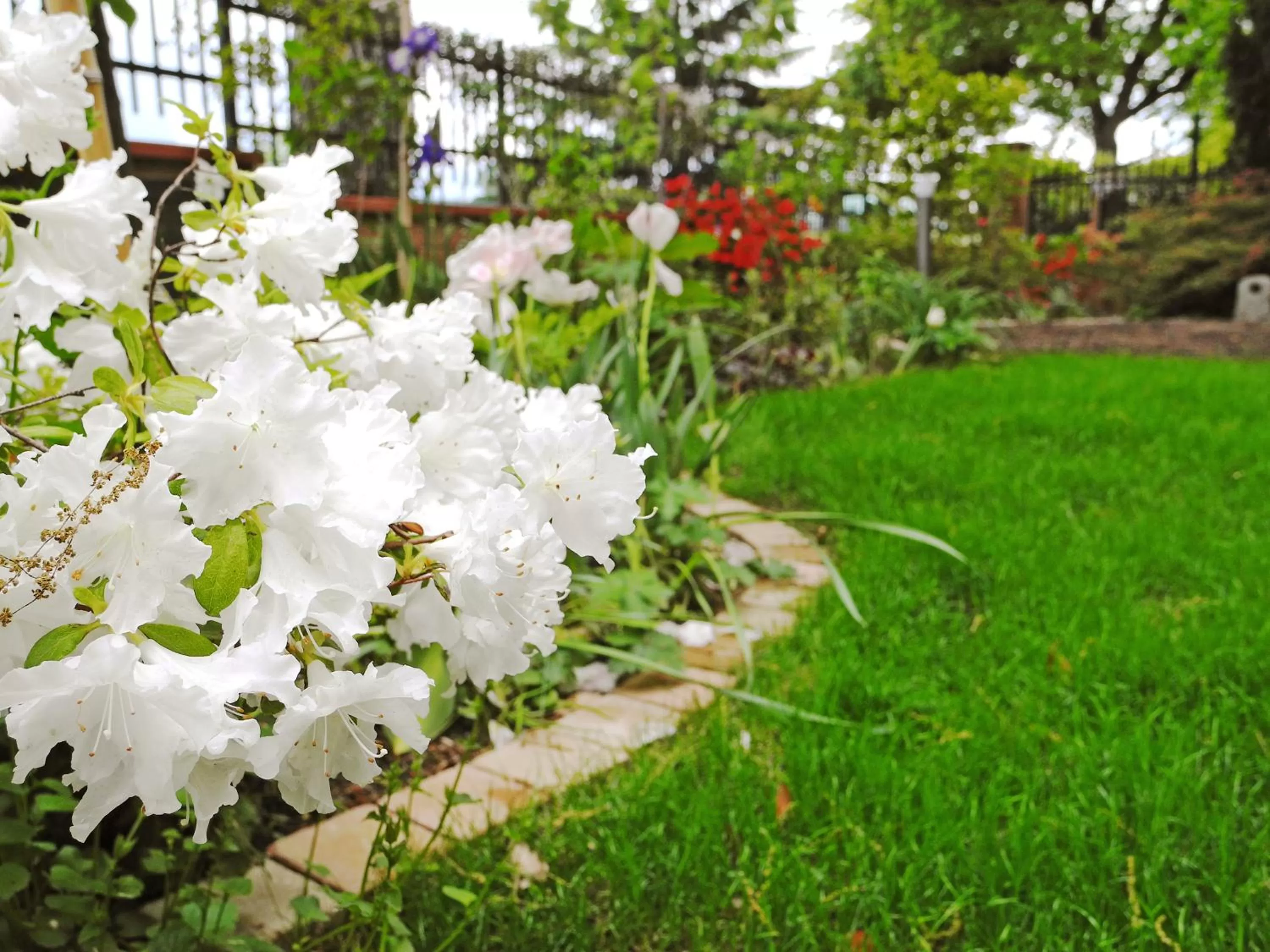 Property building in B&B Dimora Morelli