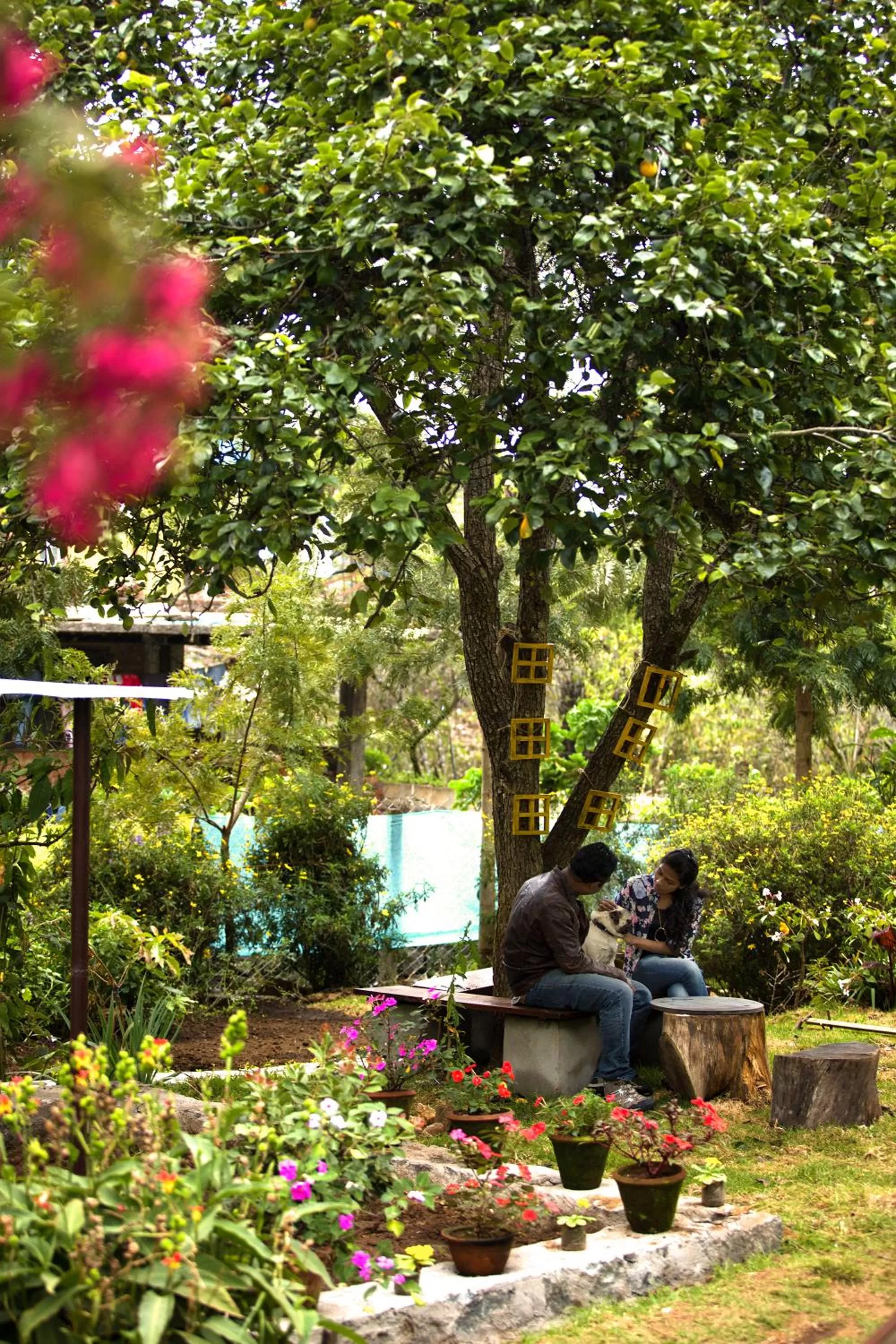 Guests in Pine Borough Inn